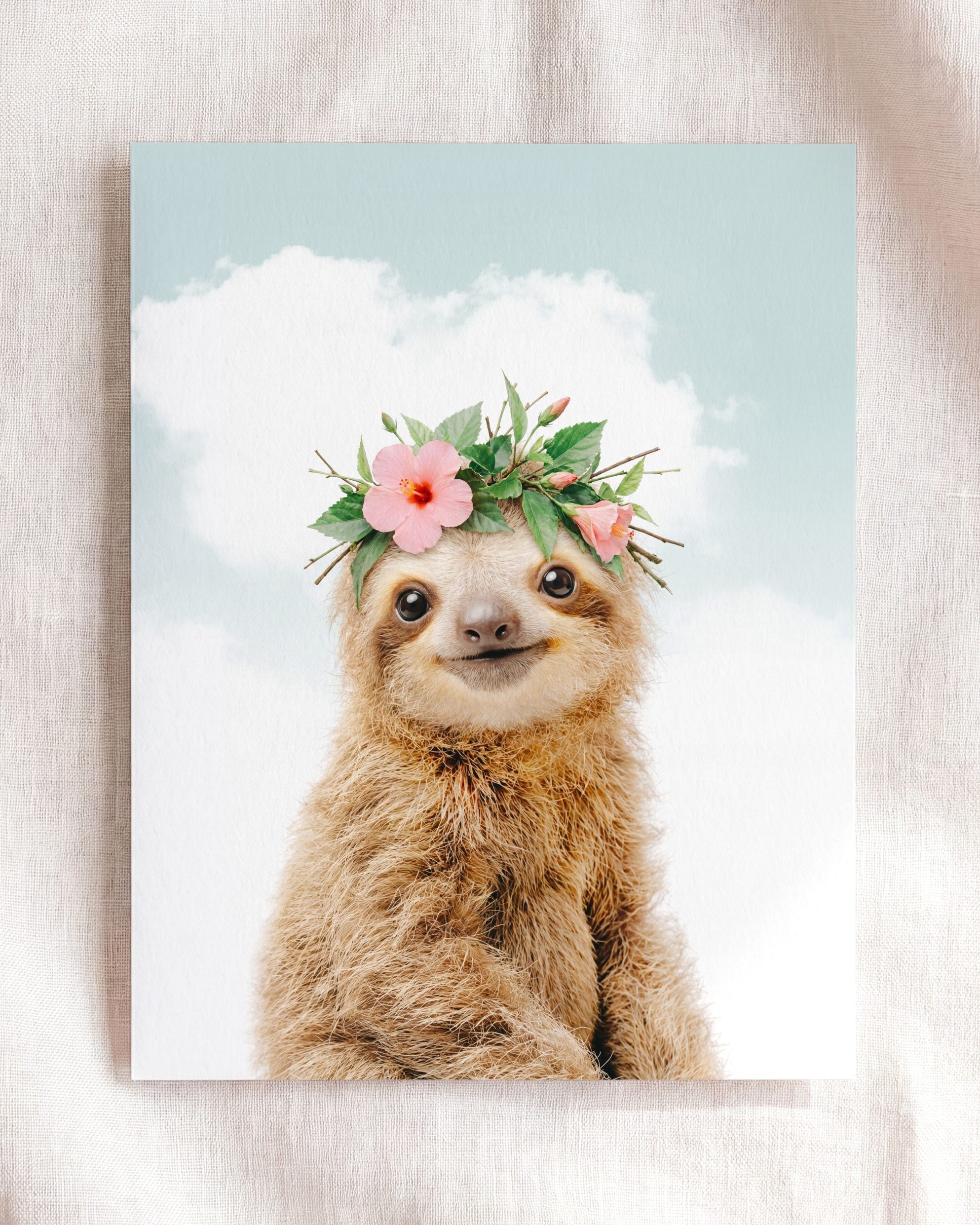 Baby Sloth