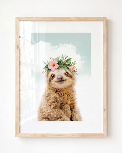 Baby Sloth