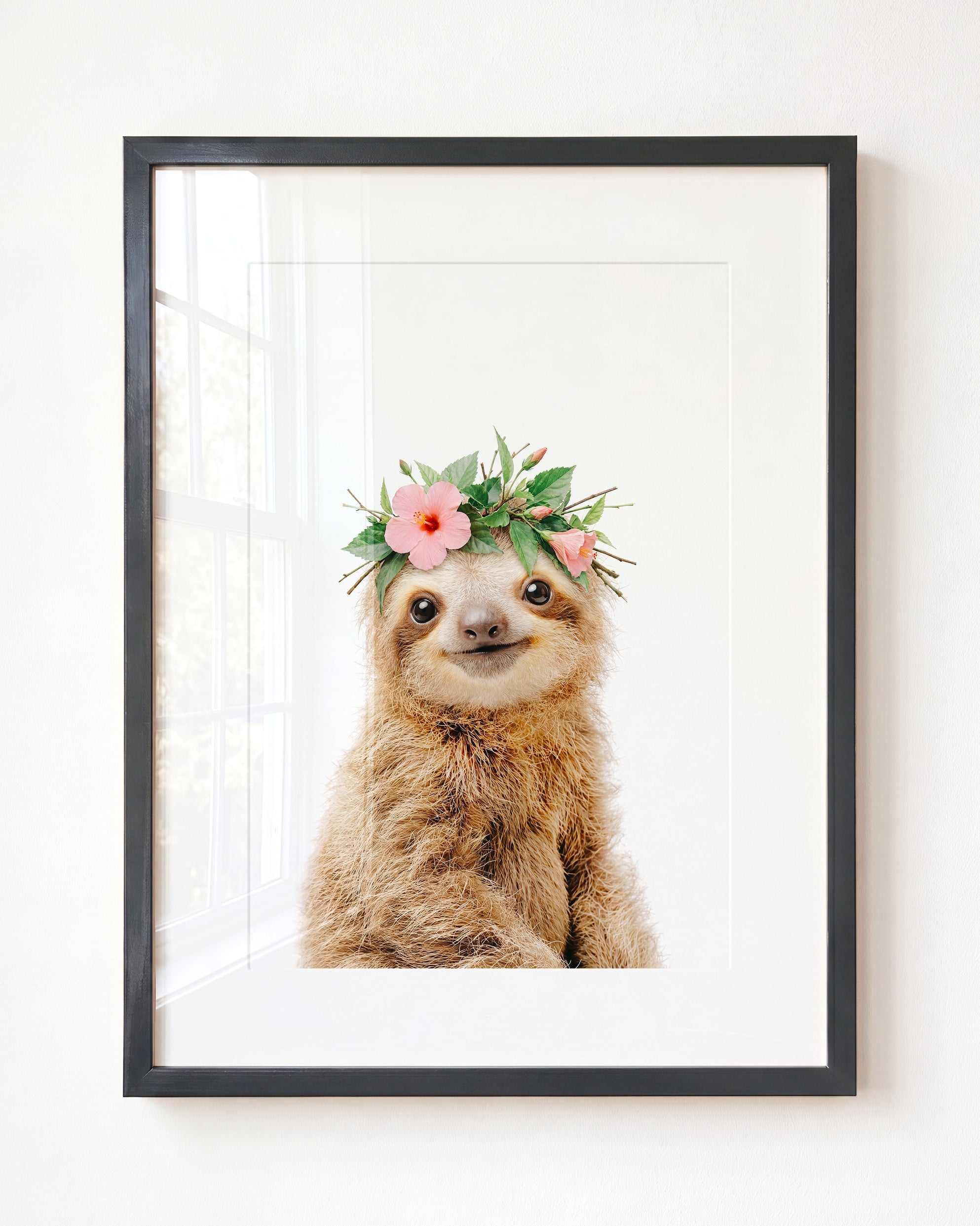 Baby Sloth