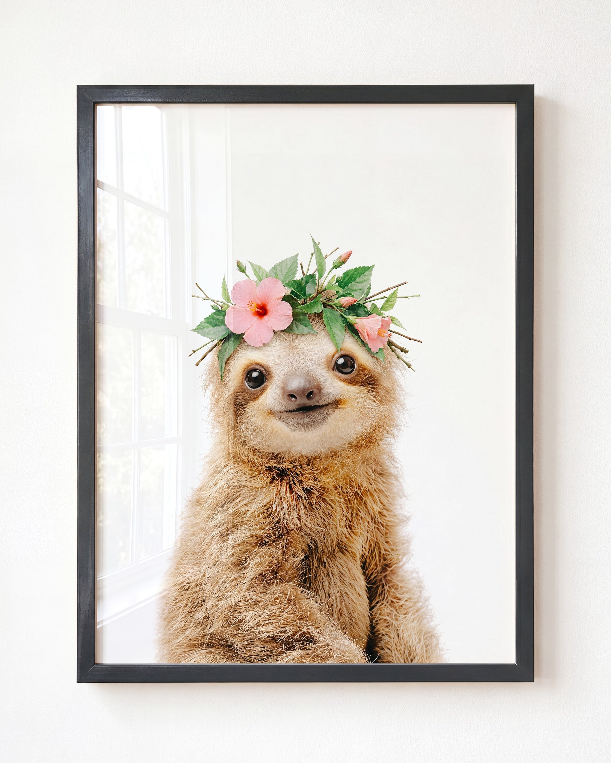 Baby Sloth