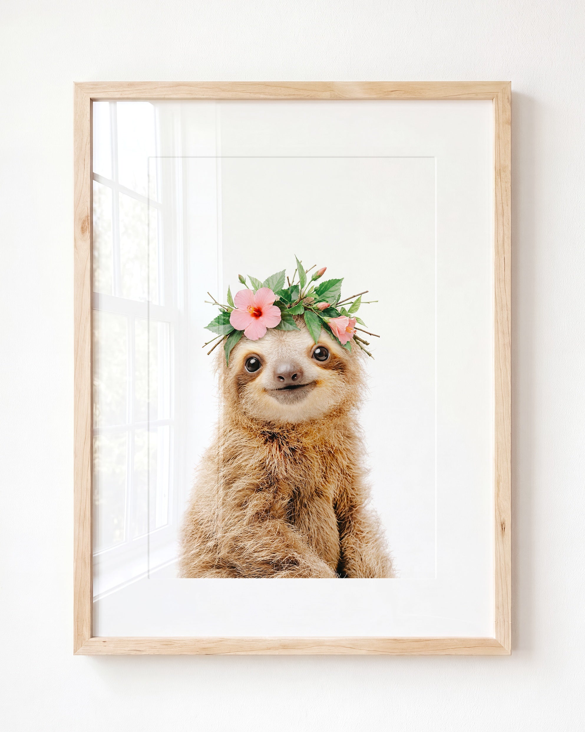 Baby Sloth