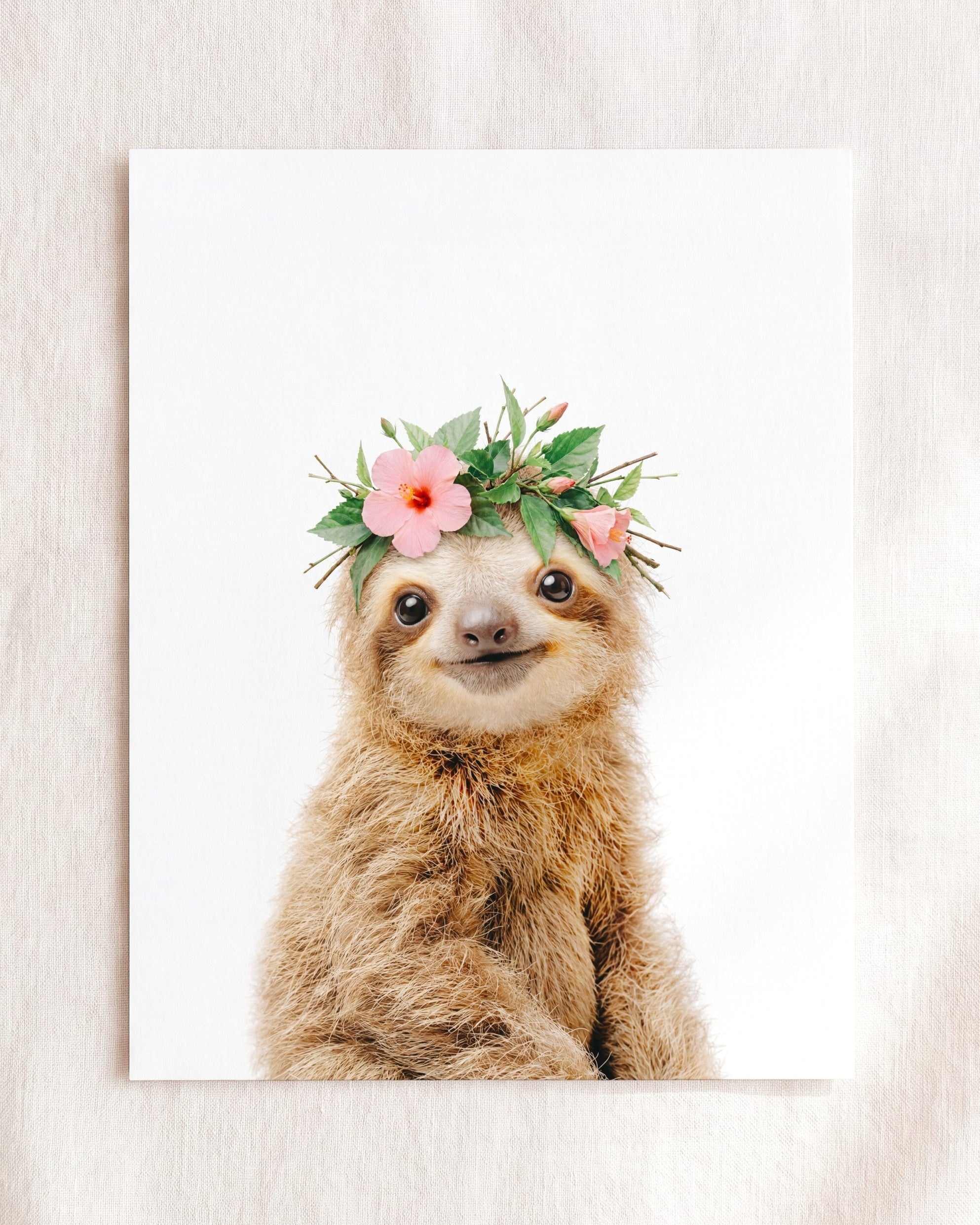 Baby Sloth