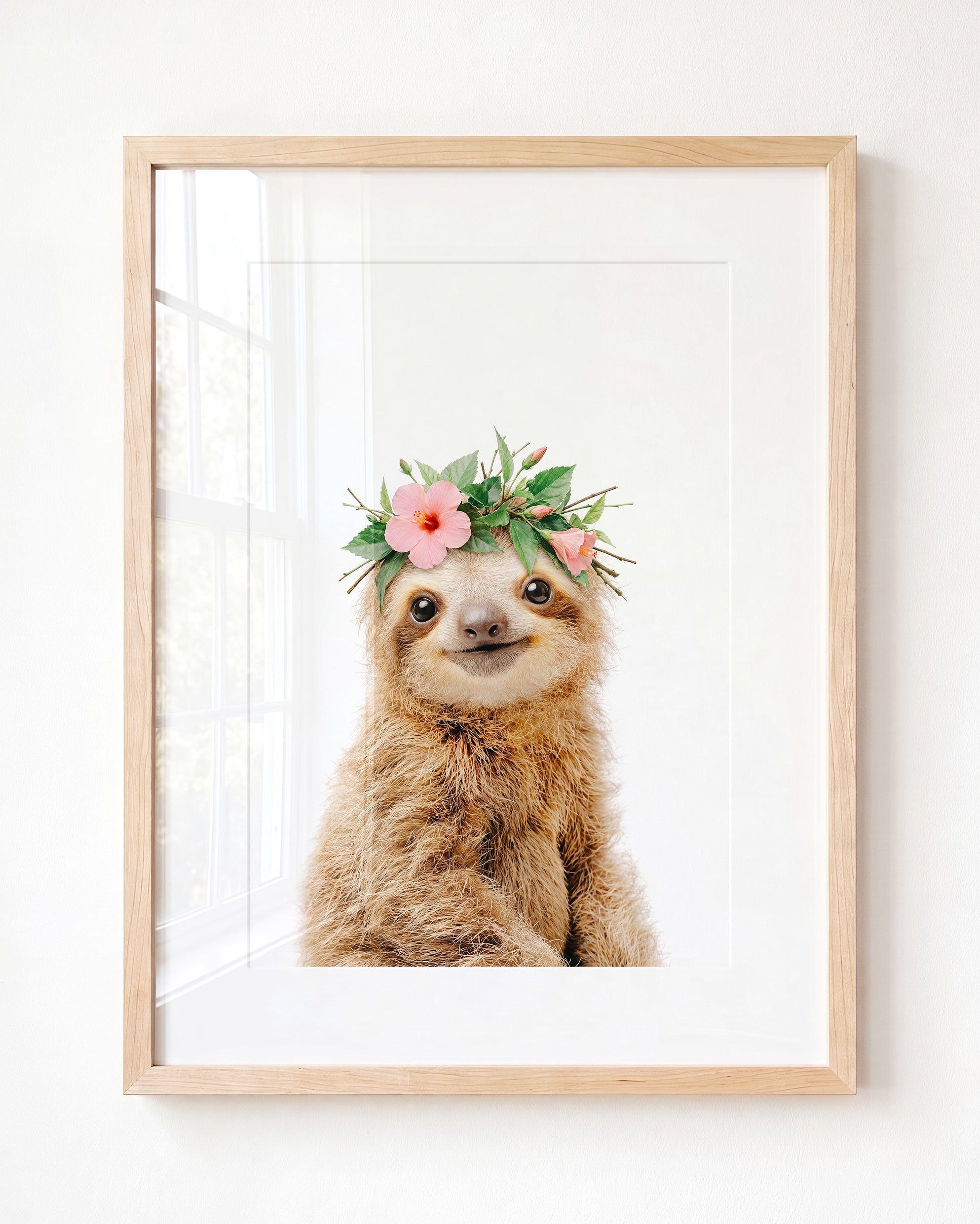 Baby Sloth