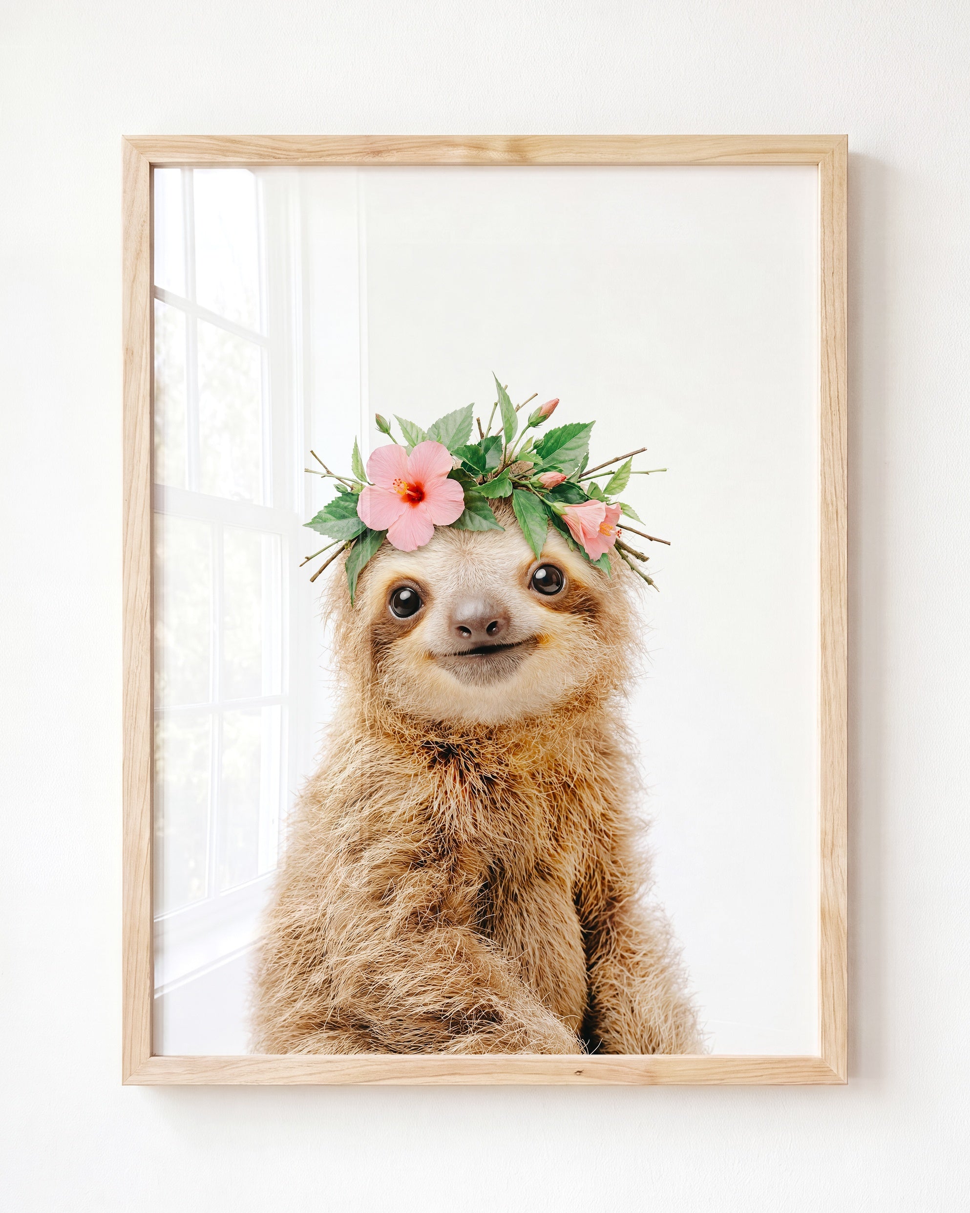 Baby Sloth