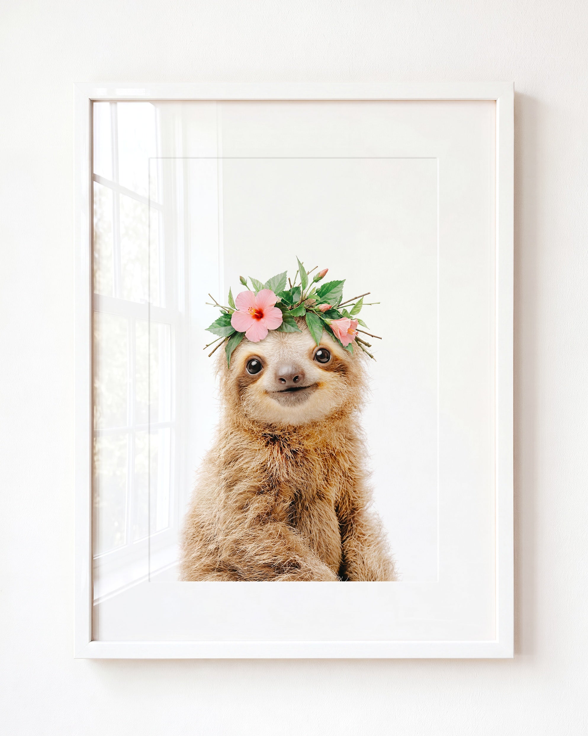 Baby Sloth
