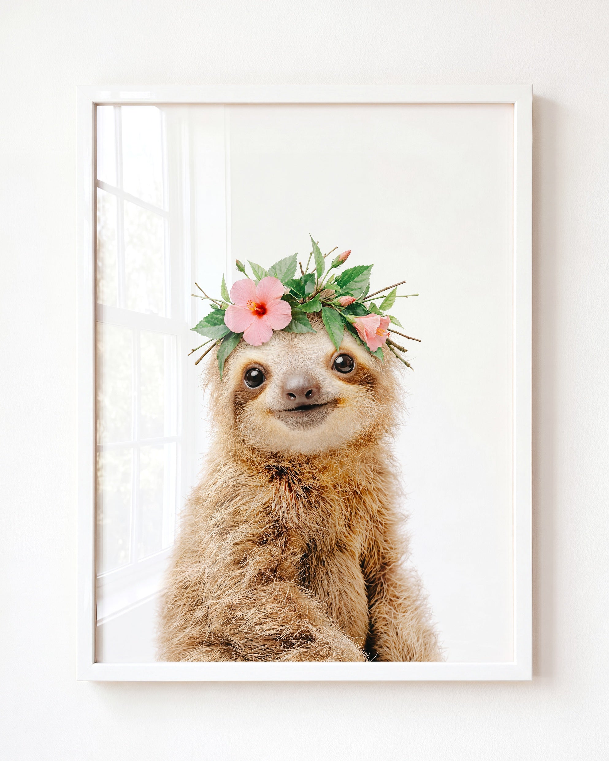 Baby Sloth