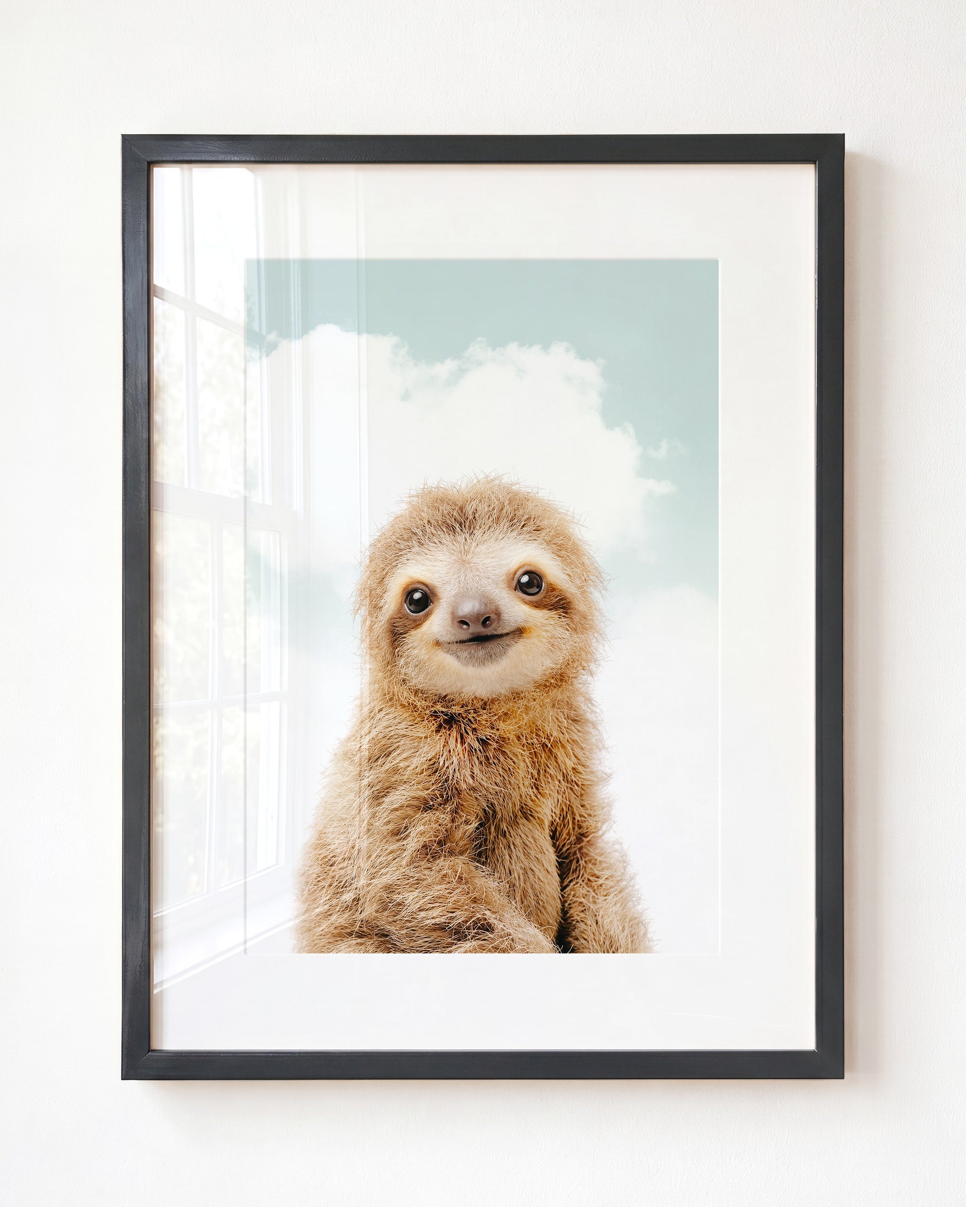 Baby Sloth