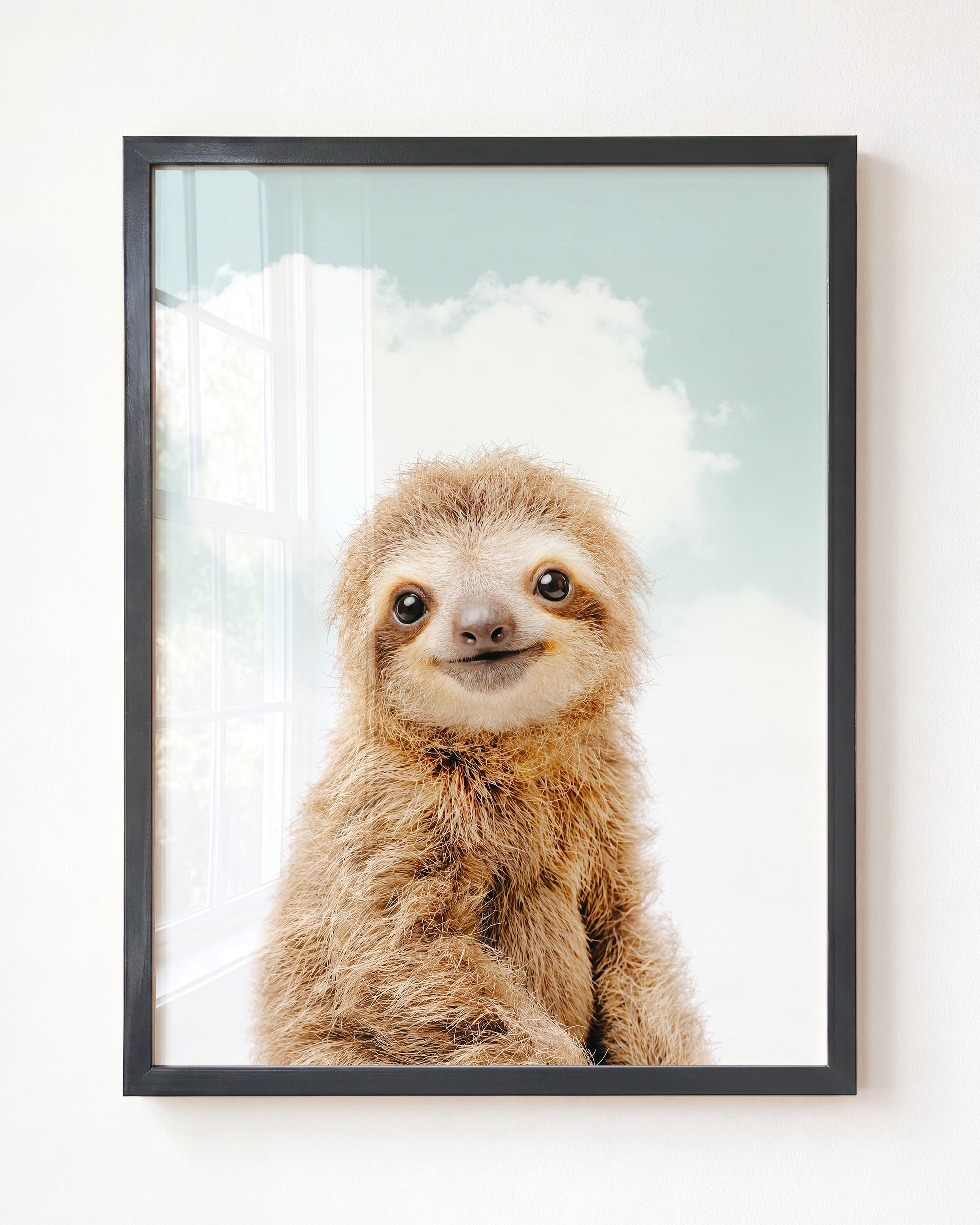 Baby Sloth