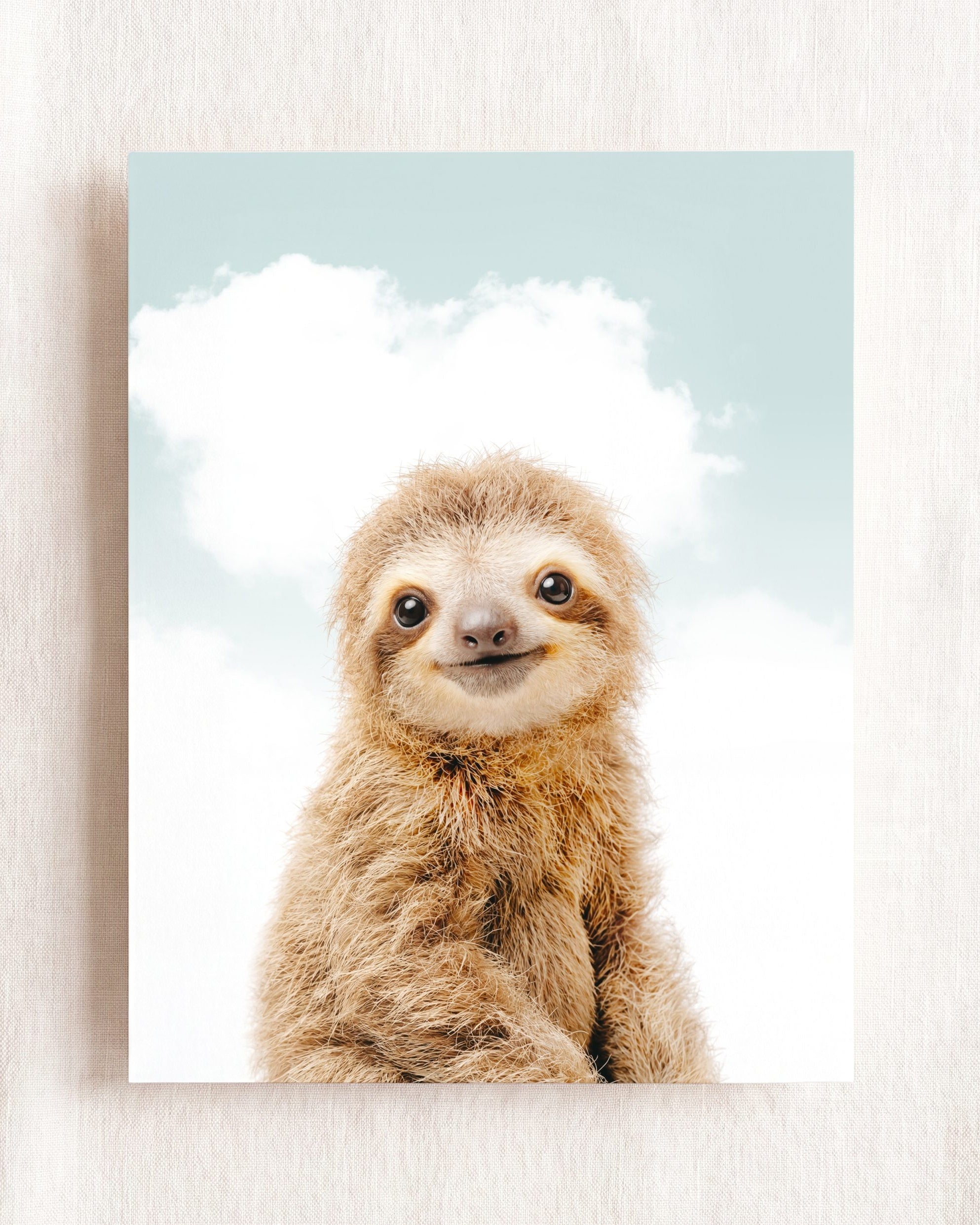 Baby Sloth