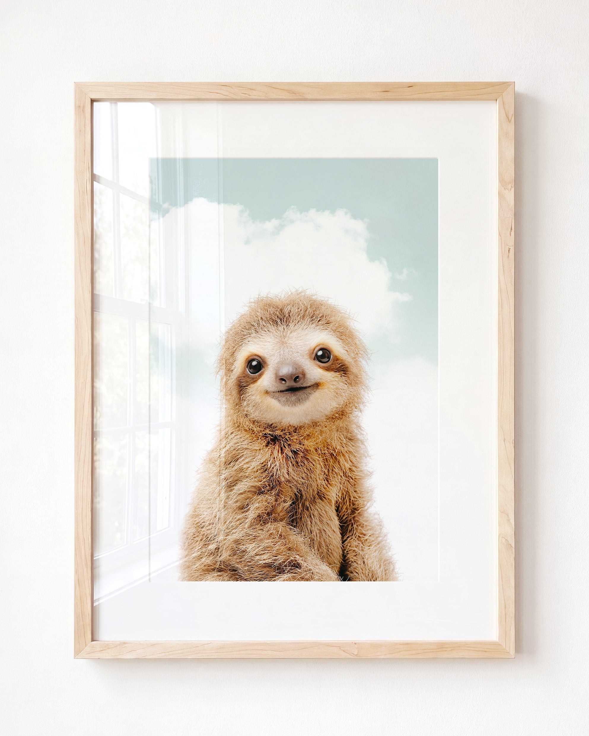Baby Sloth
