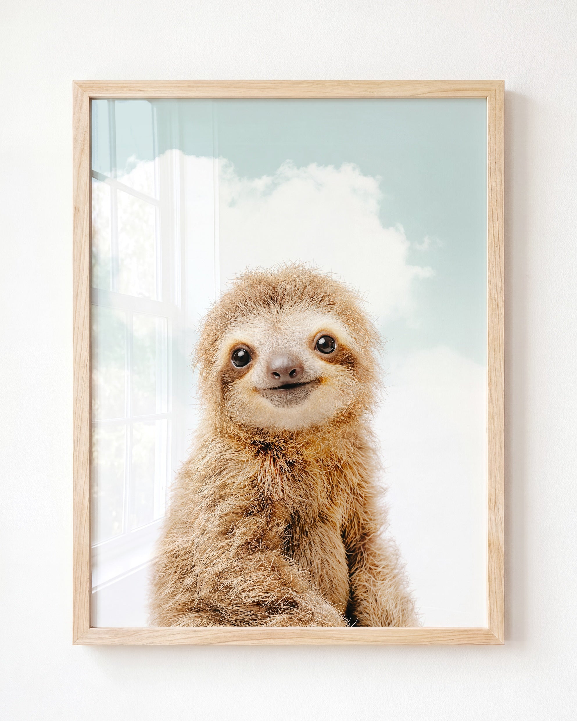 Baby Sloth