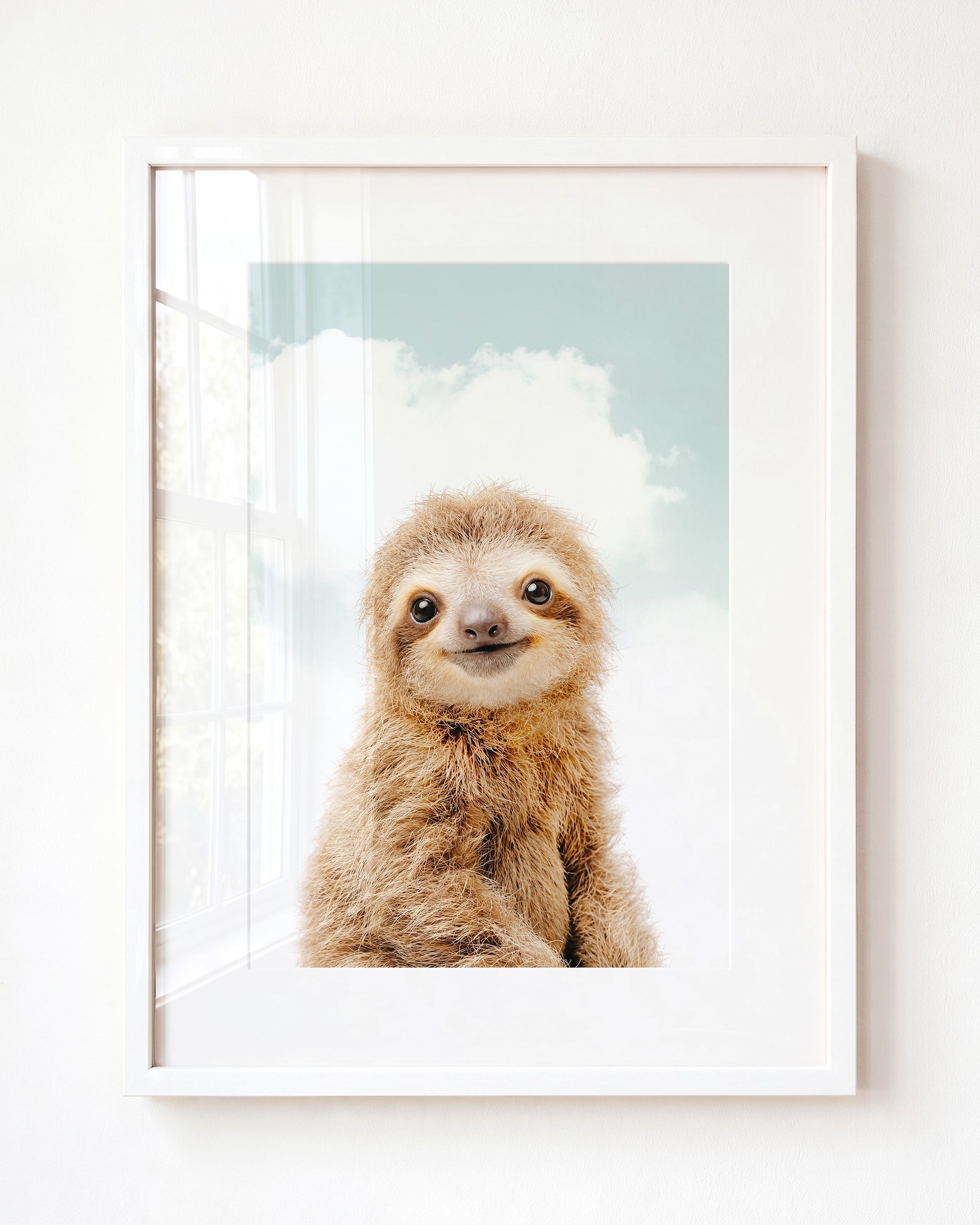 Baby Sloth