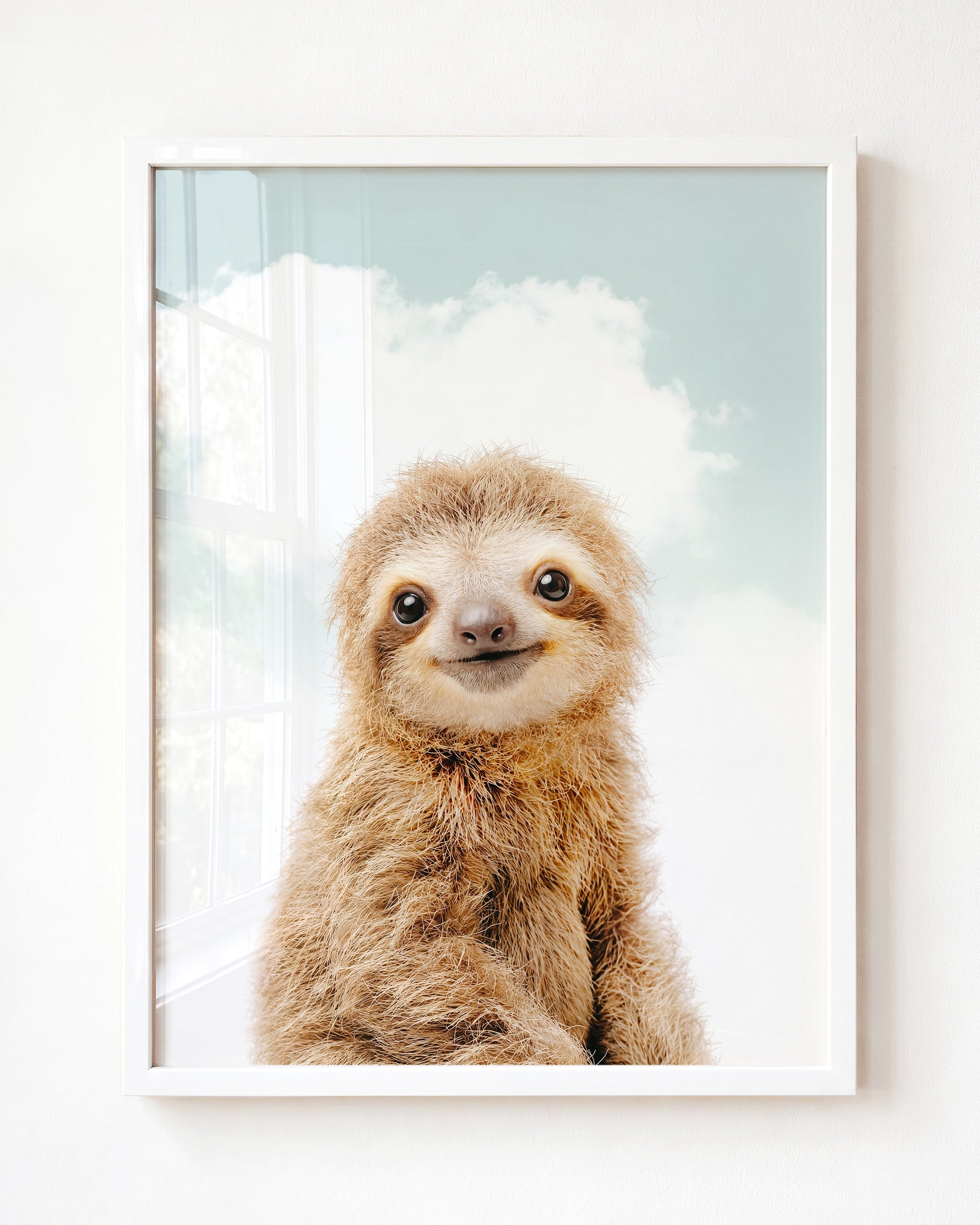 Baby Sloth