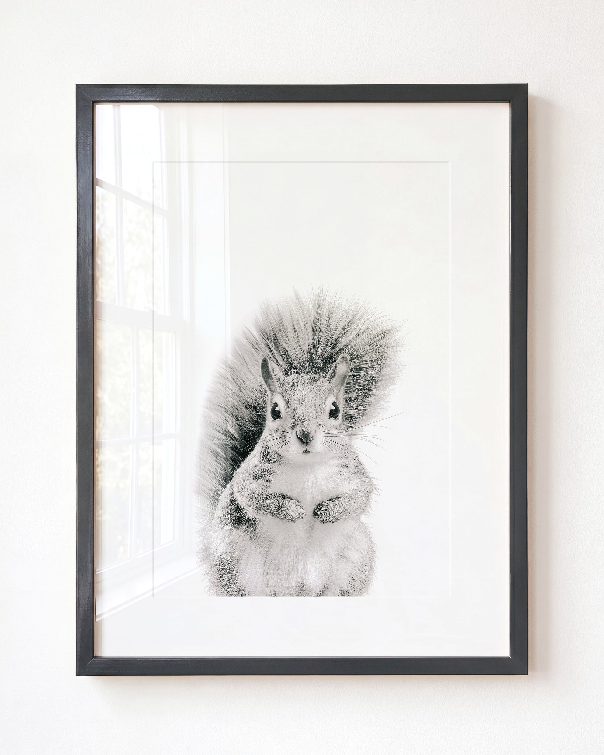 Baby Squirrel