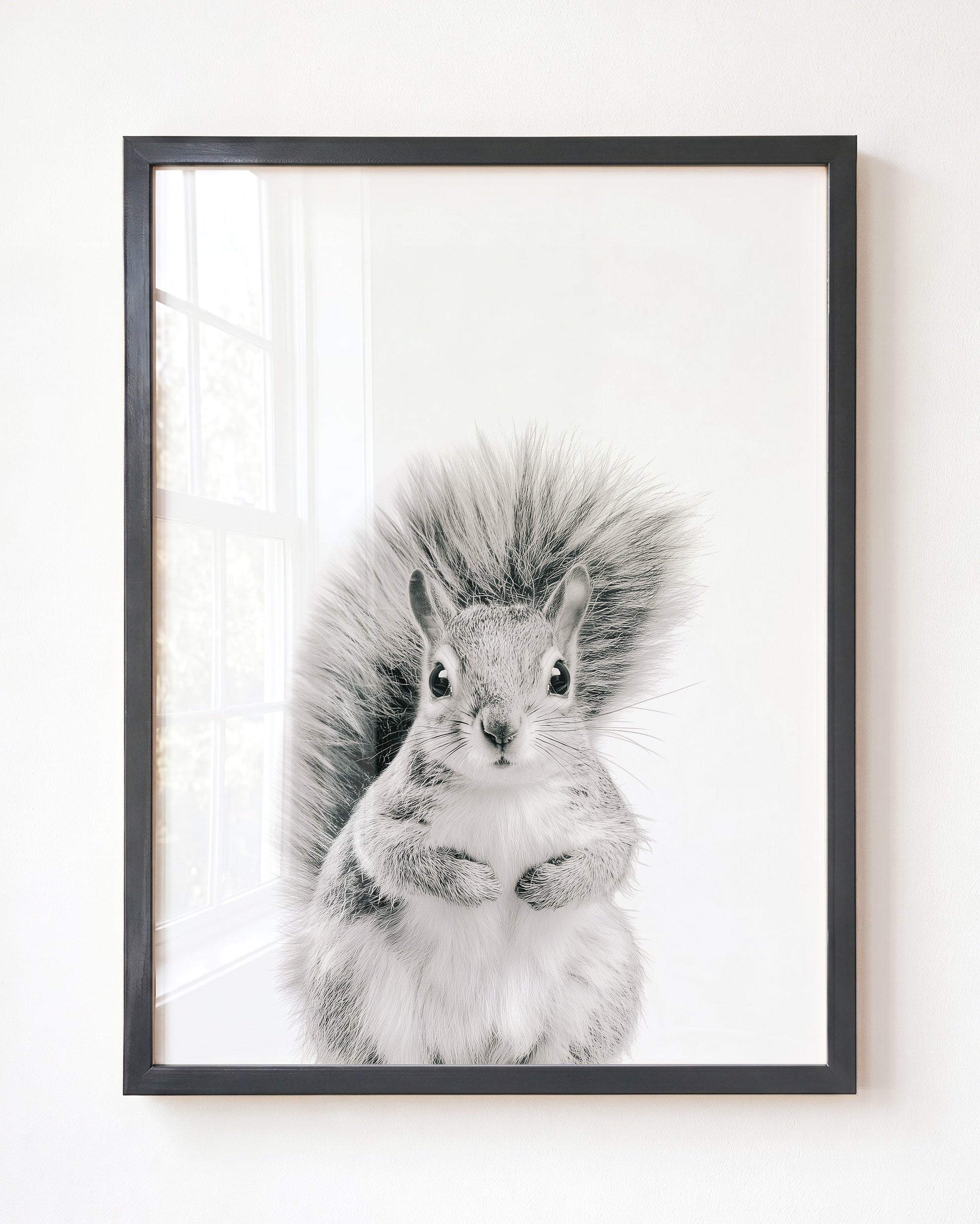 Baby Squirrel