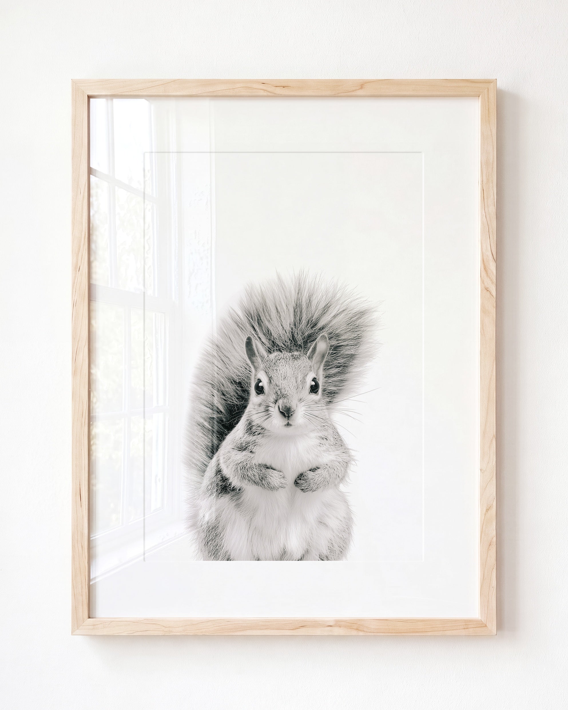 Baby Squirrel
