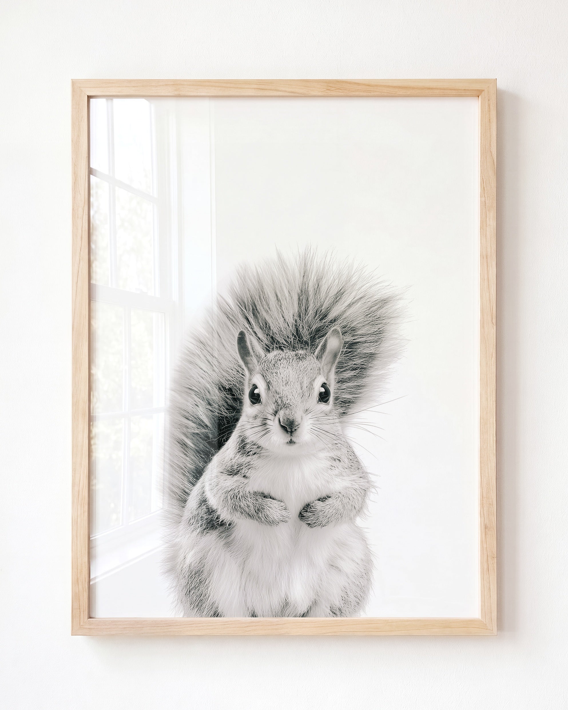 Baby Squirrel