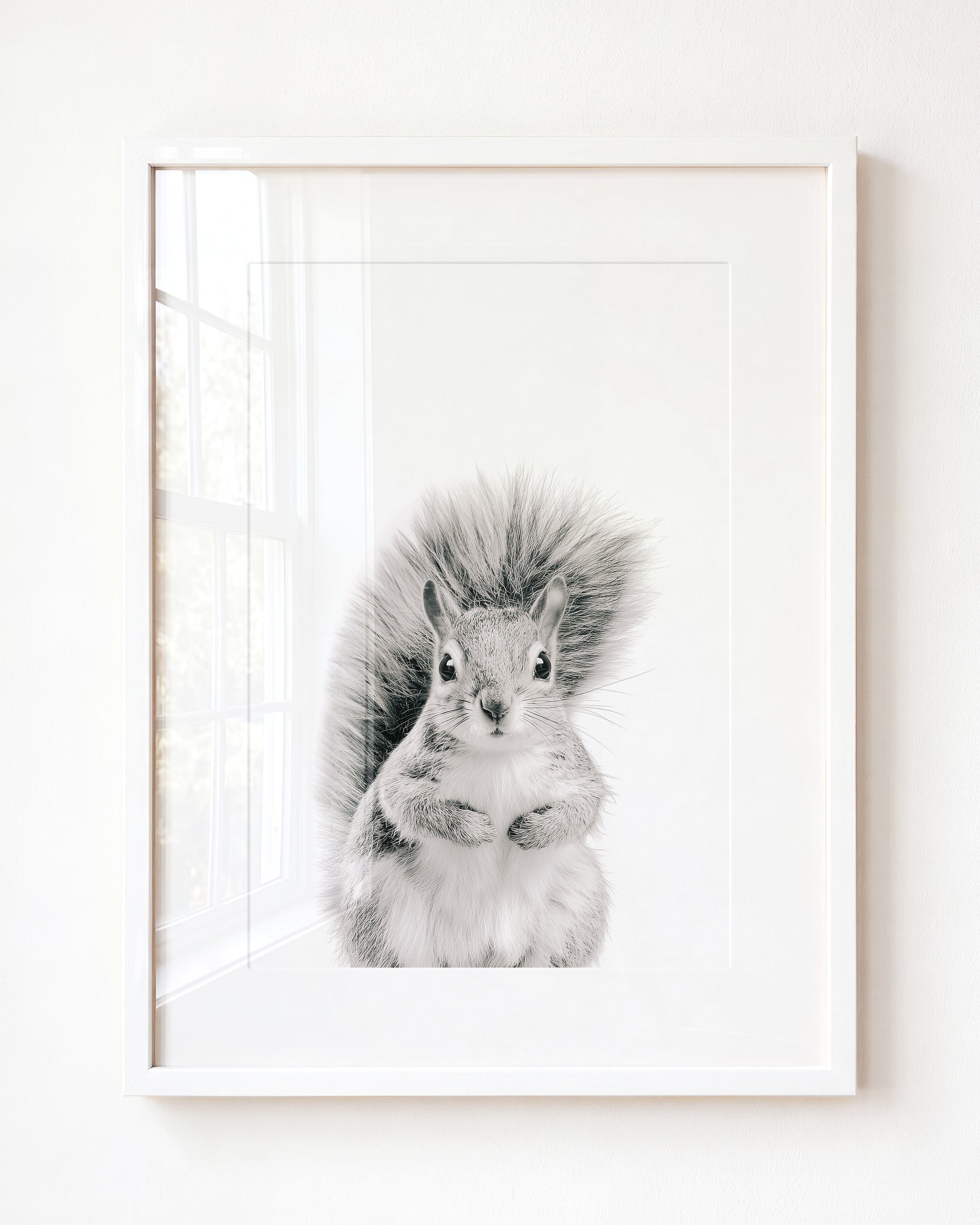 Baby Squirrel