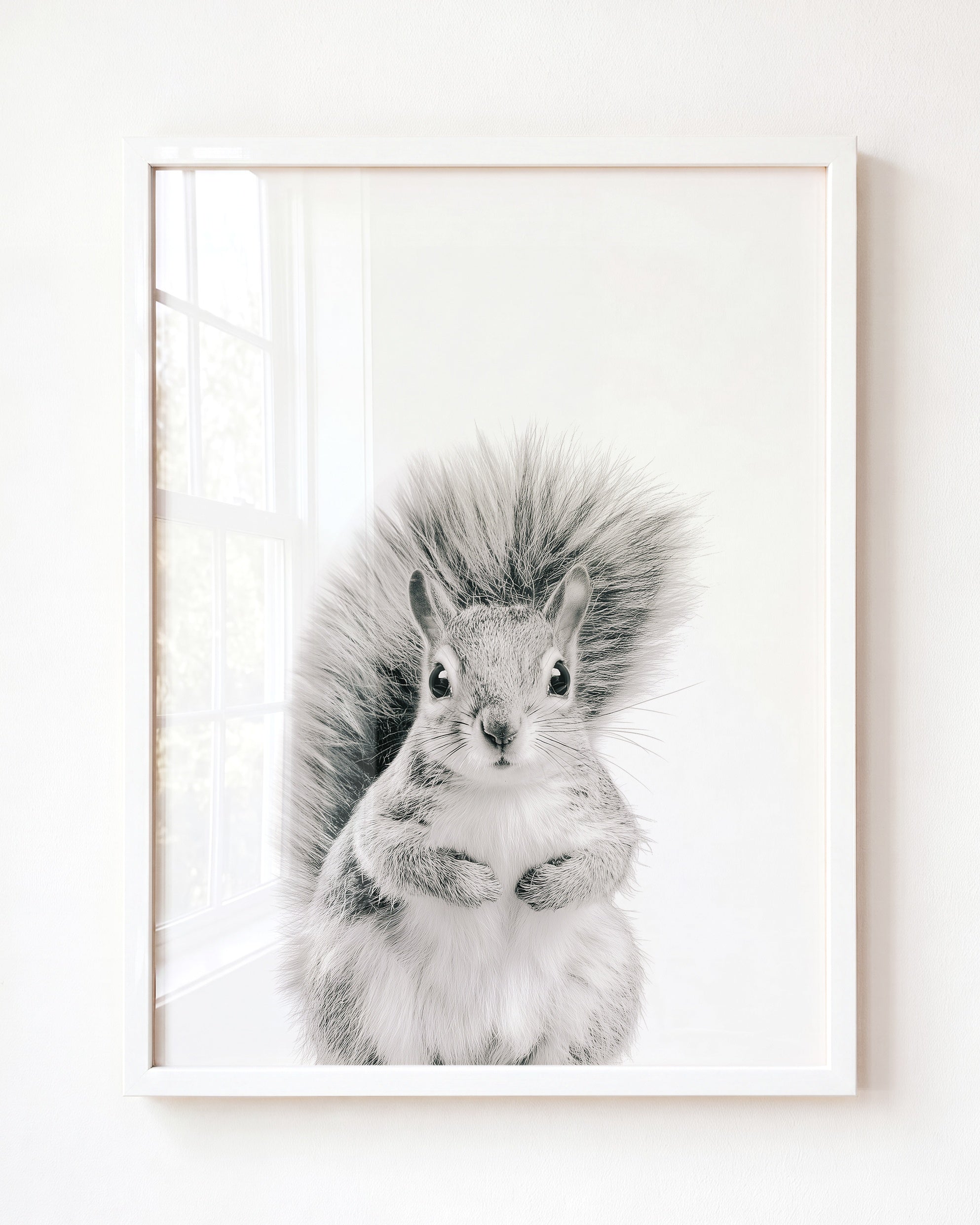 Baby Squirrel