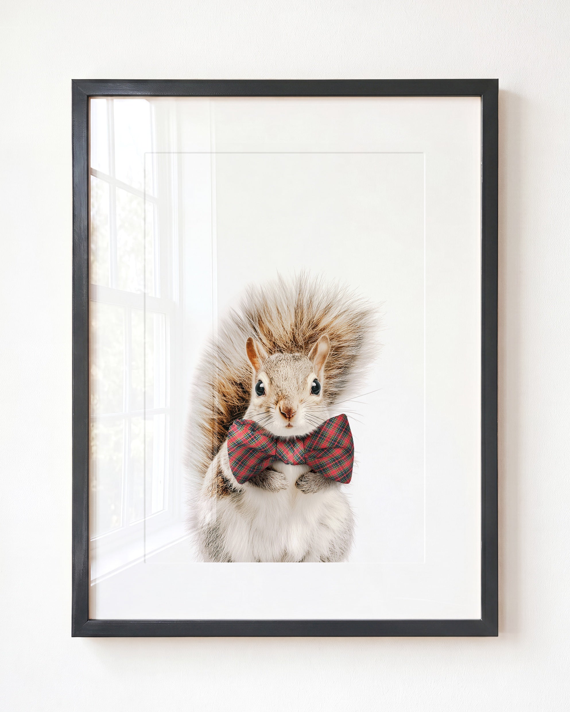 Baby Squirrel