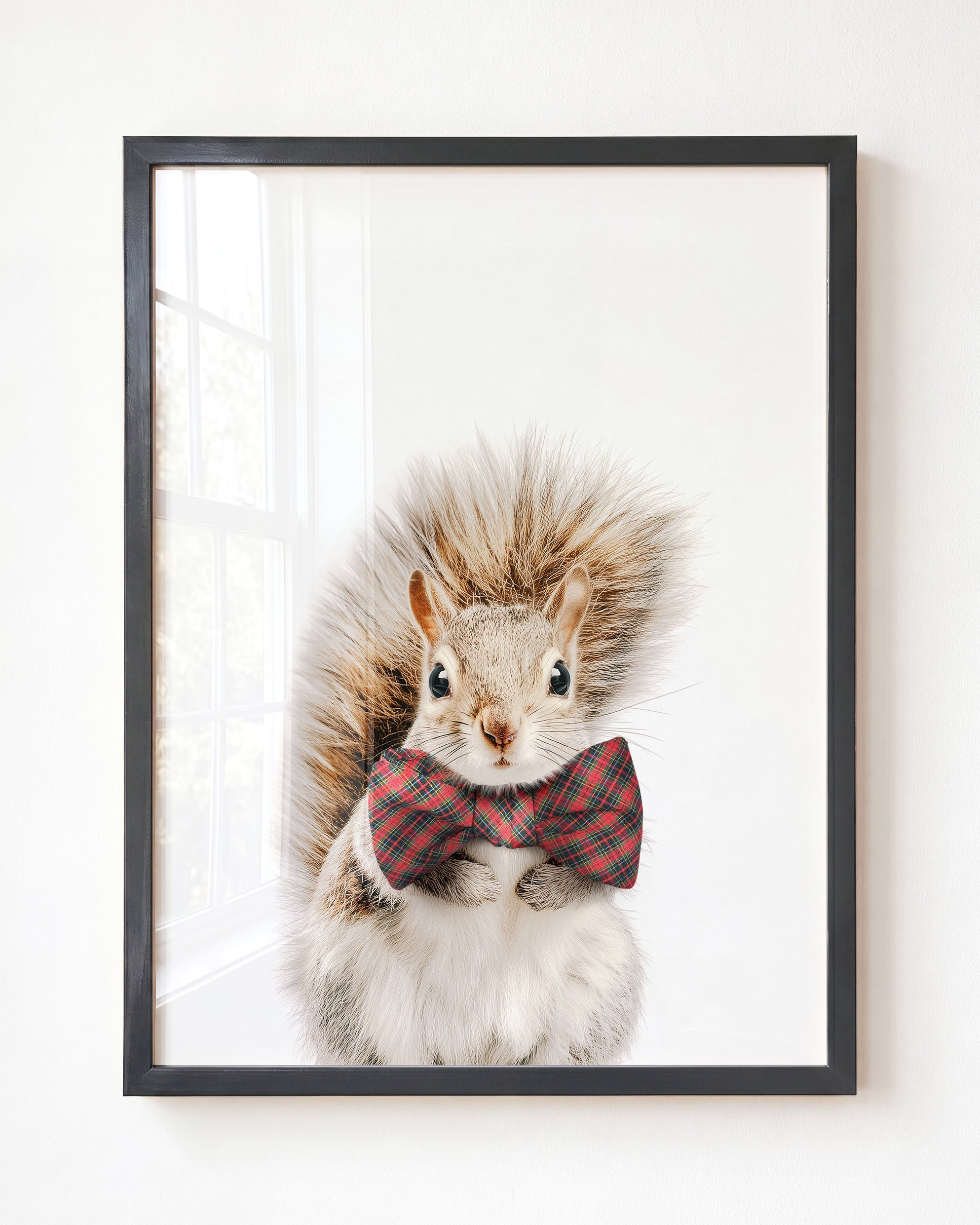 Baby Squirrel