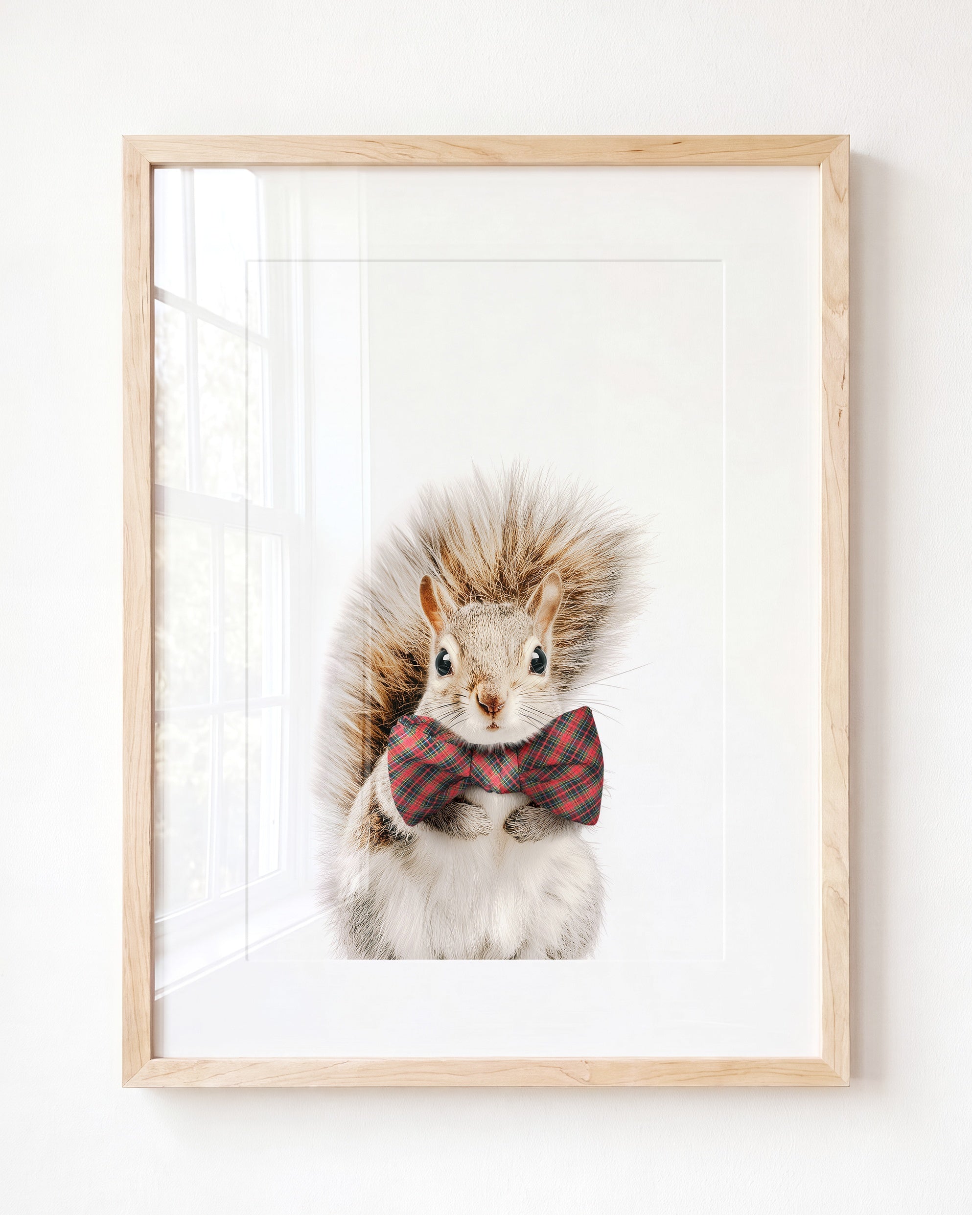 Baby Squirrel