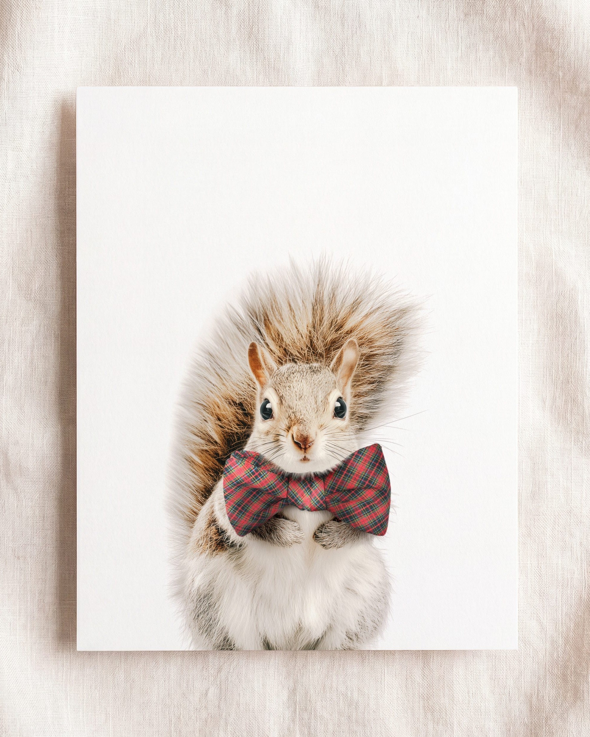 Baby Squirrel
