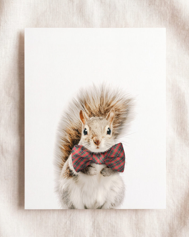 Bow Tie