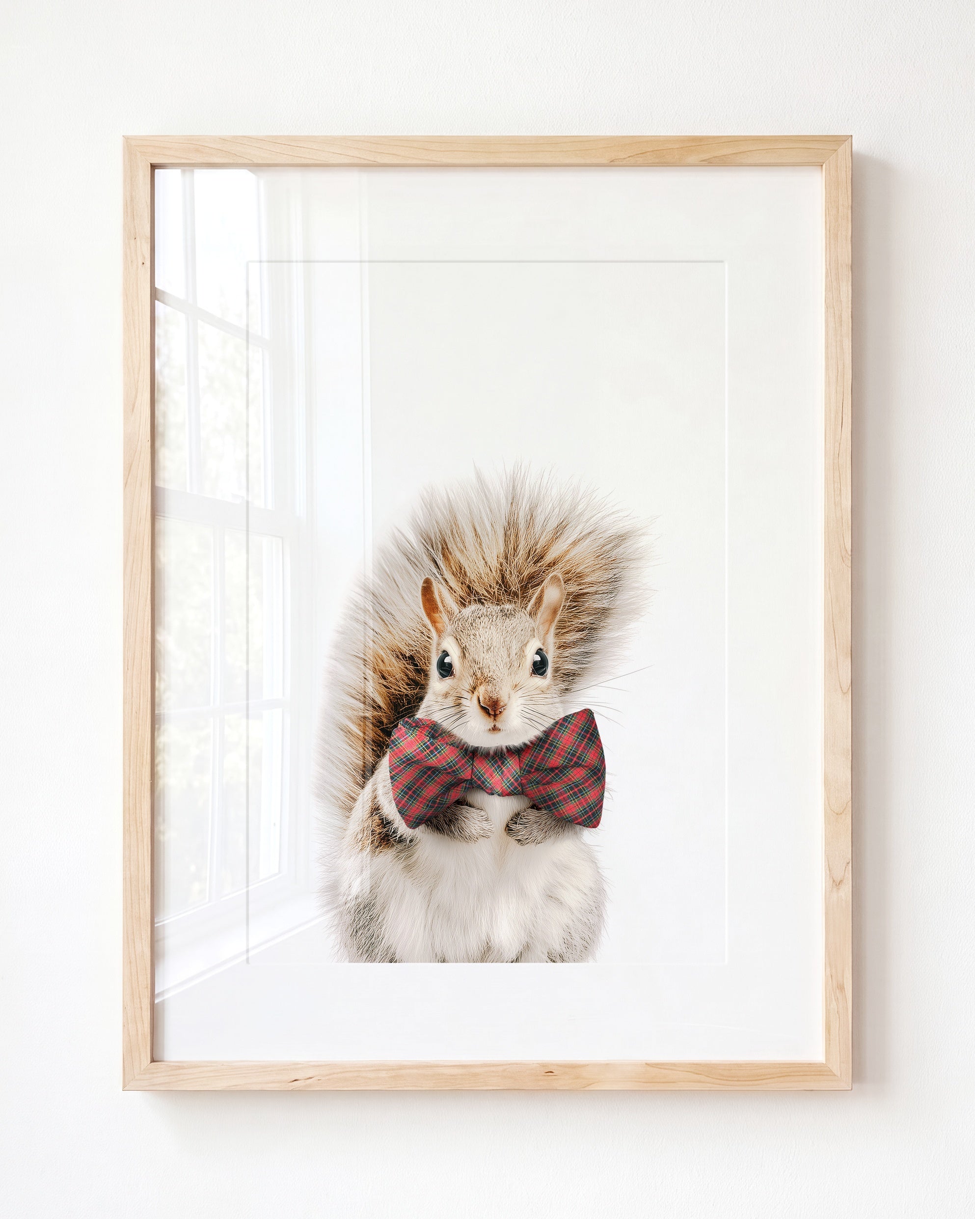 Baby Squirrel