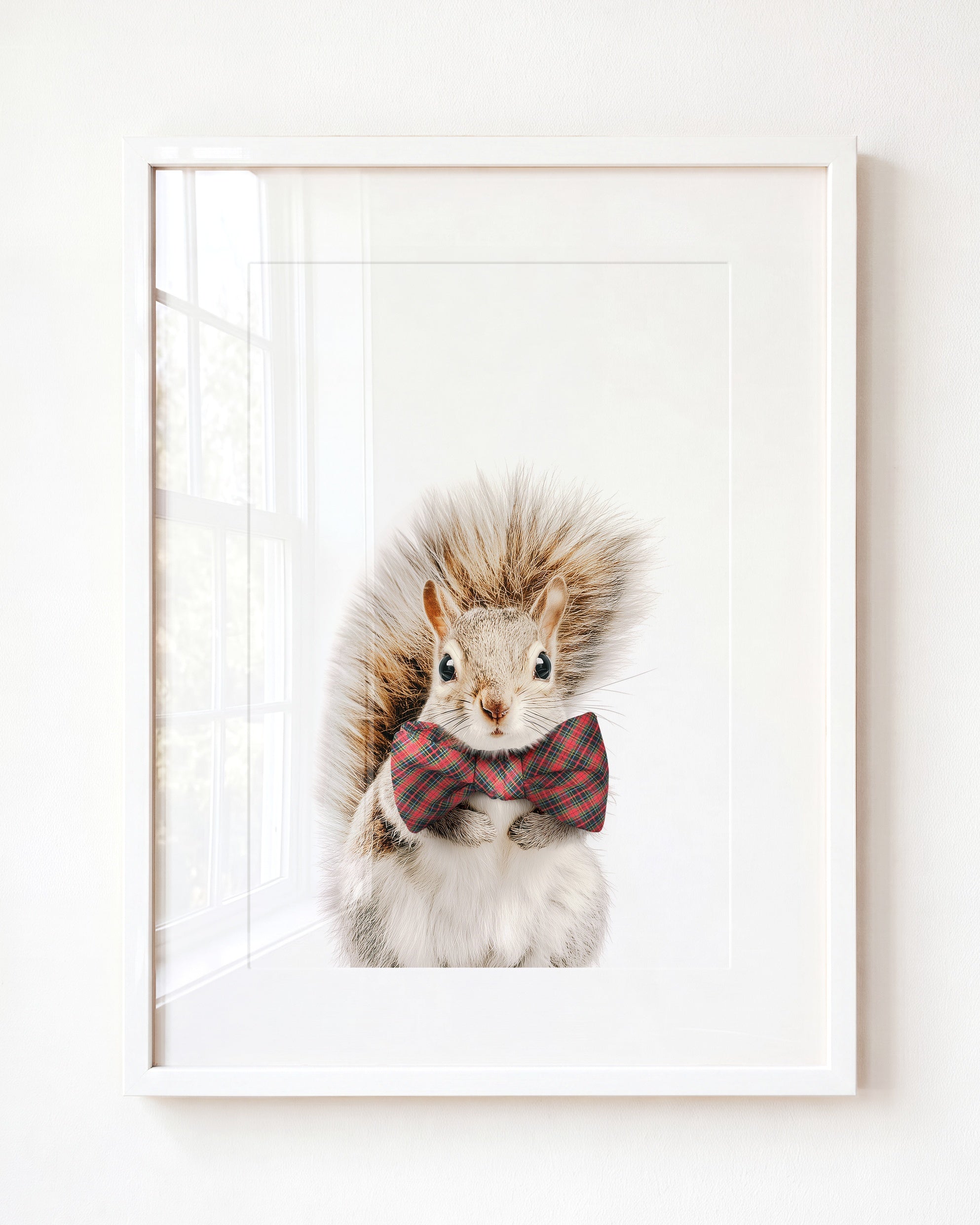 Baby Squirrel