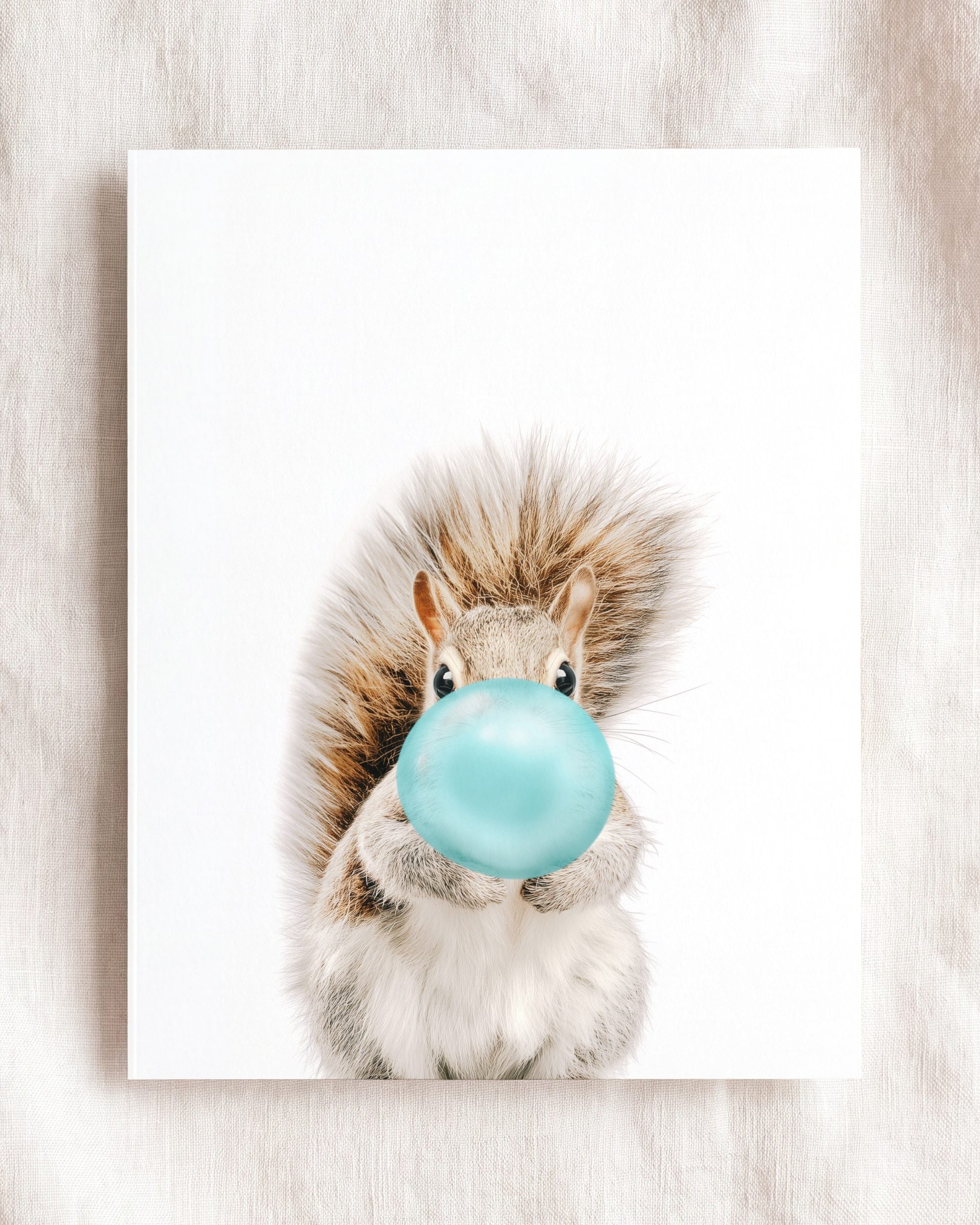Baby Squirrel