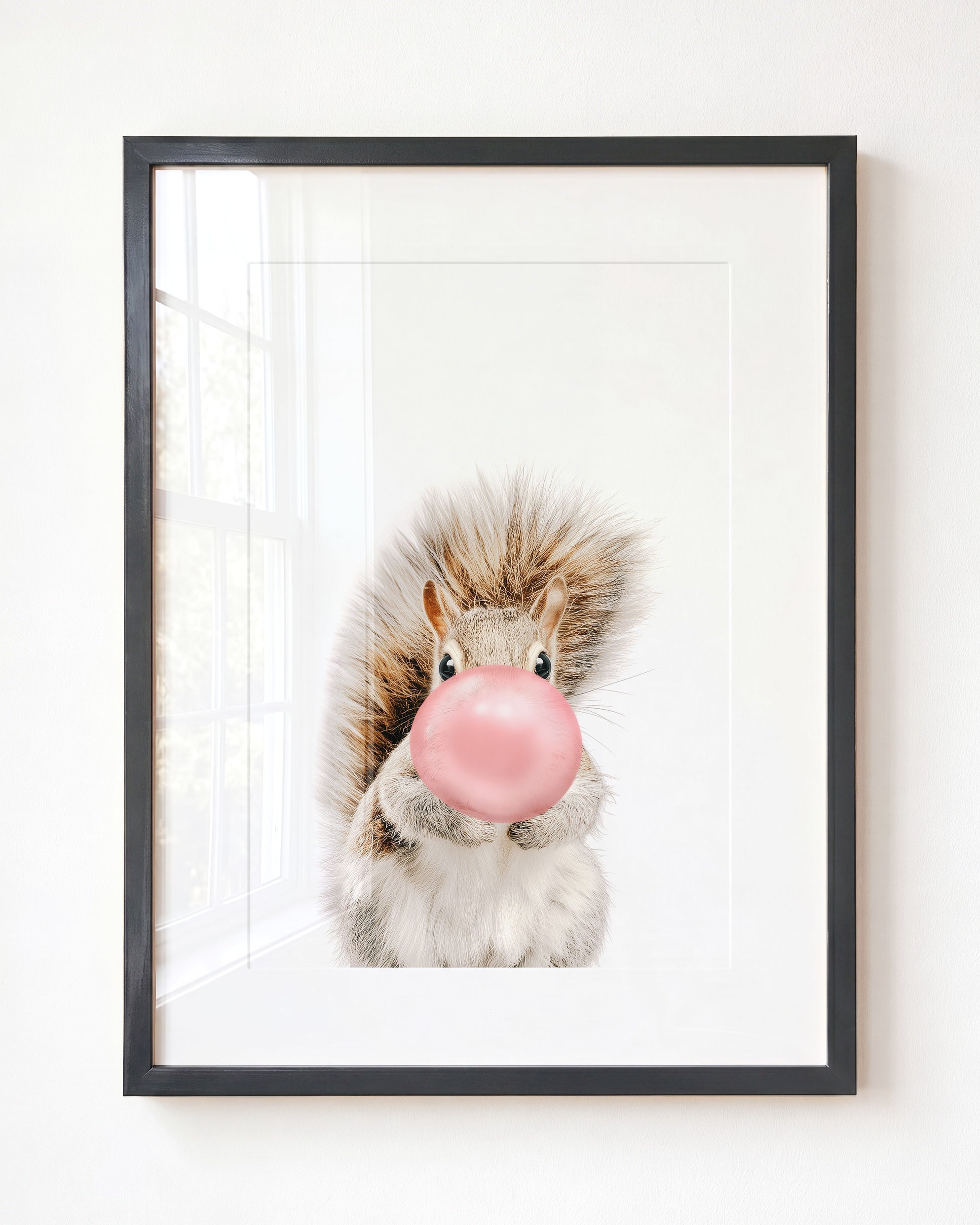 Baby Squirrel