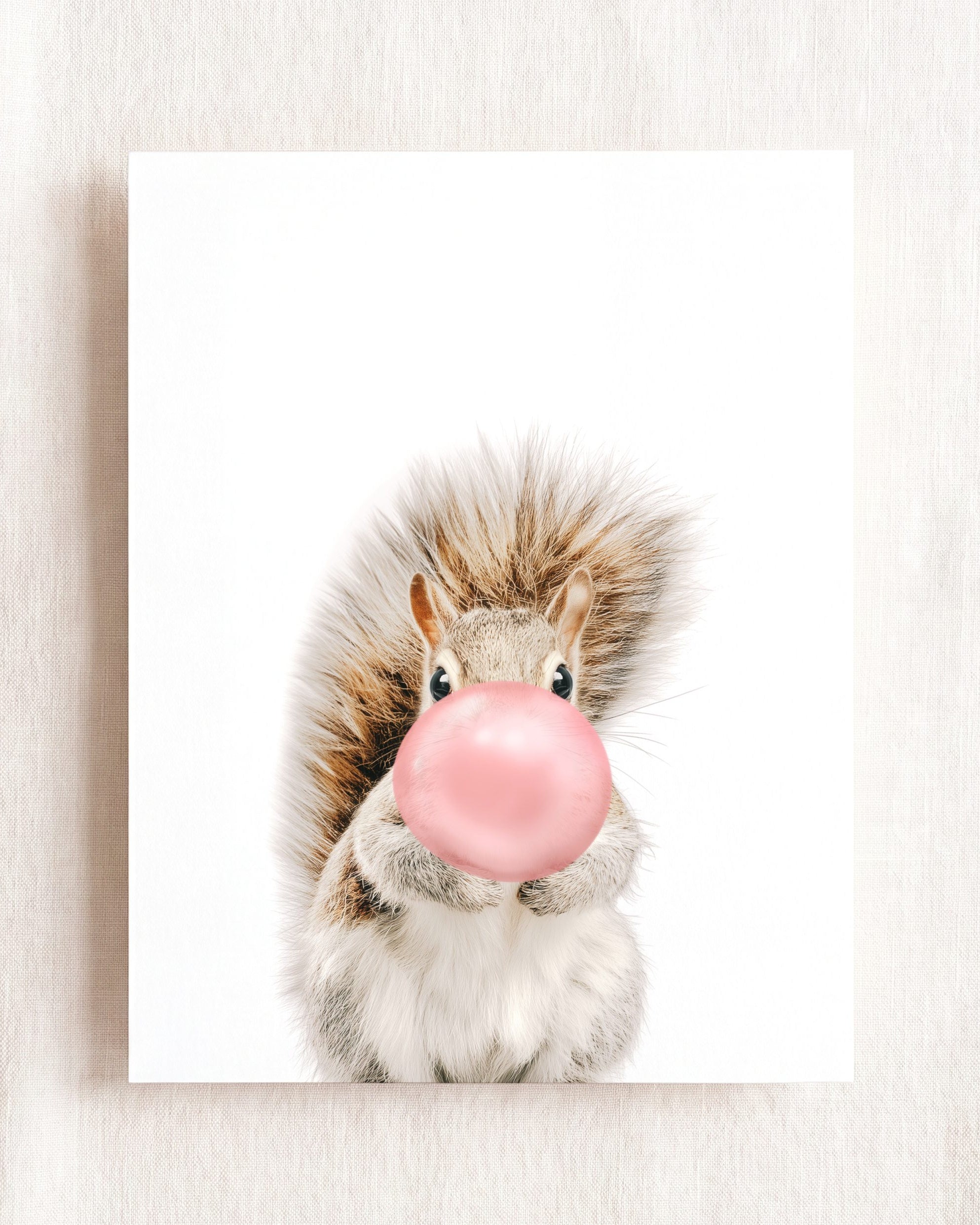 Baby Squirrel