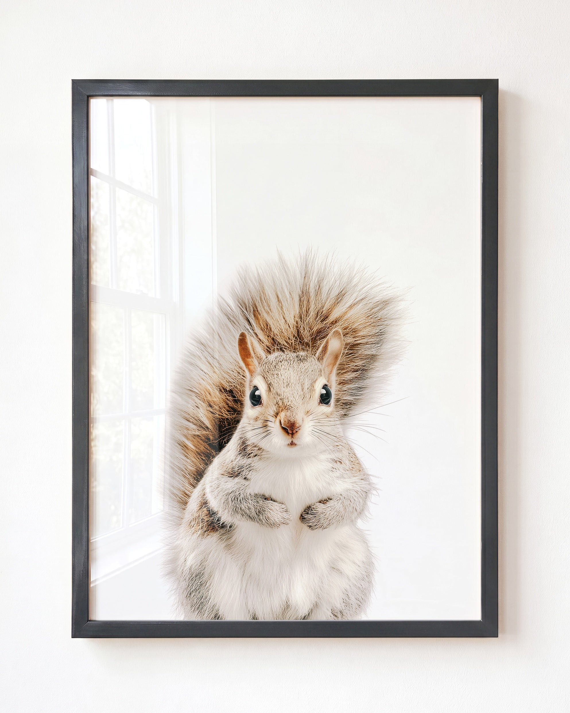 Baby Squirrel