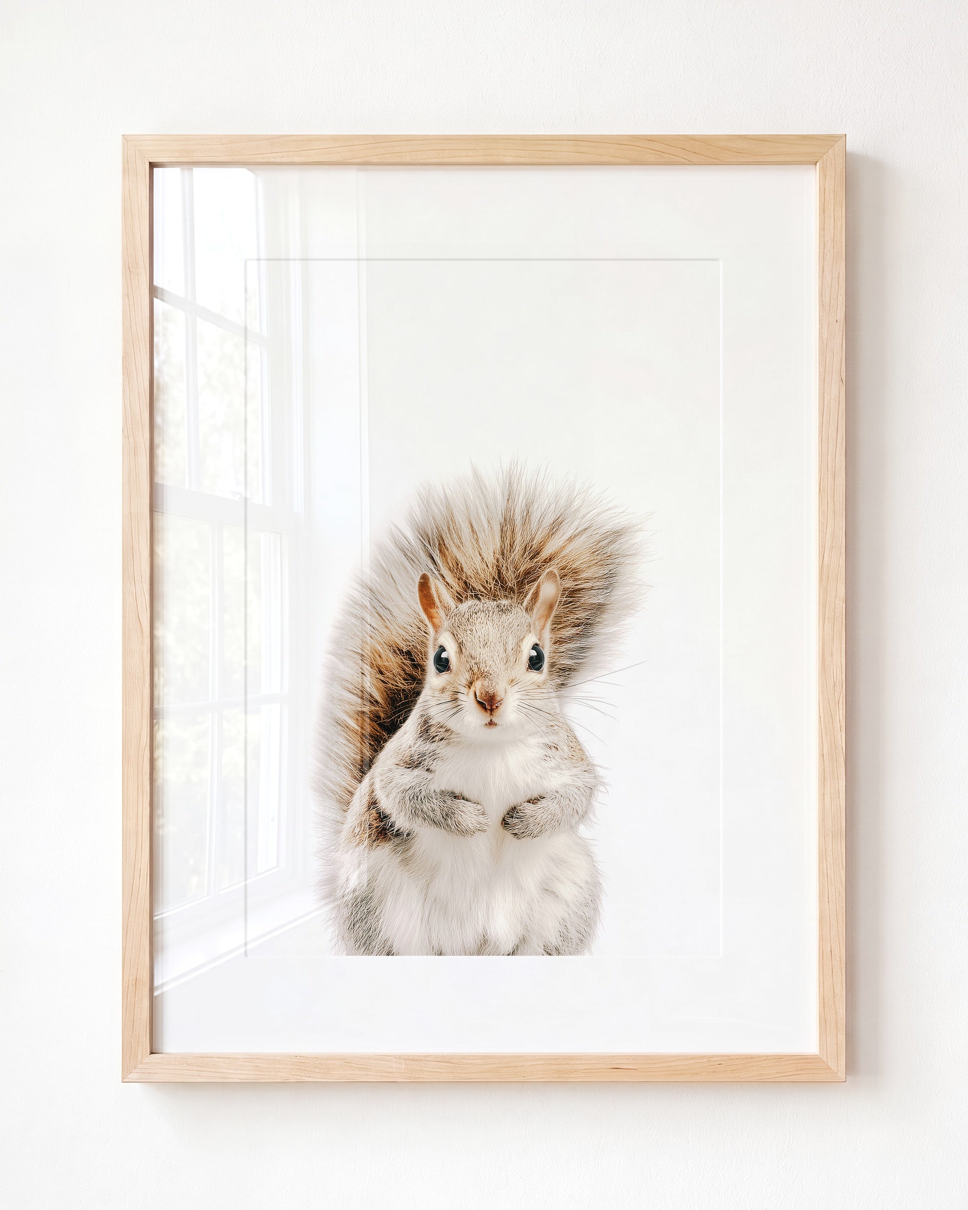 Baby Squirrel