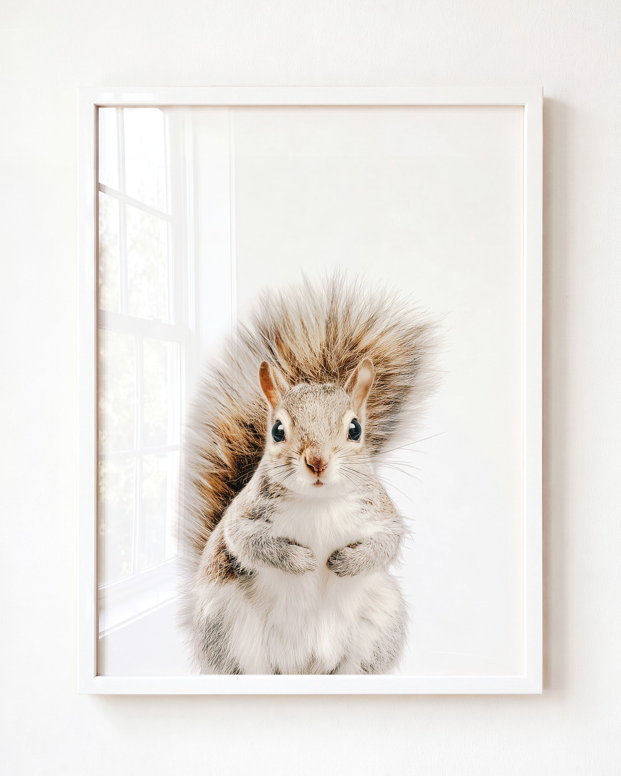 Baby Squirrel