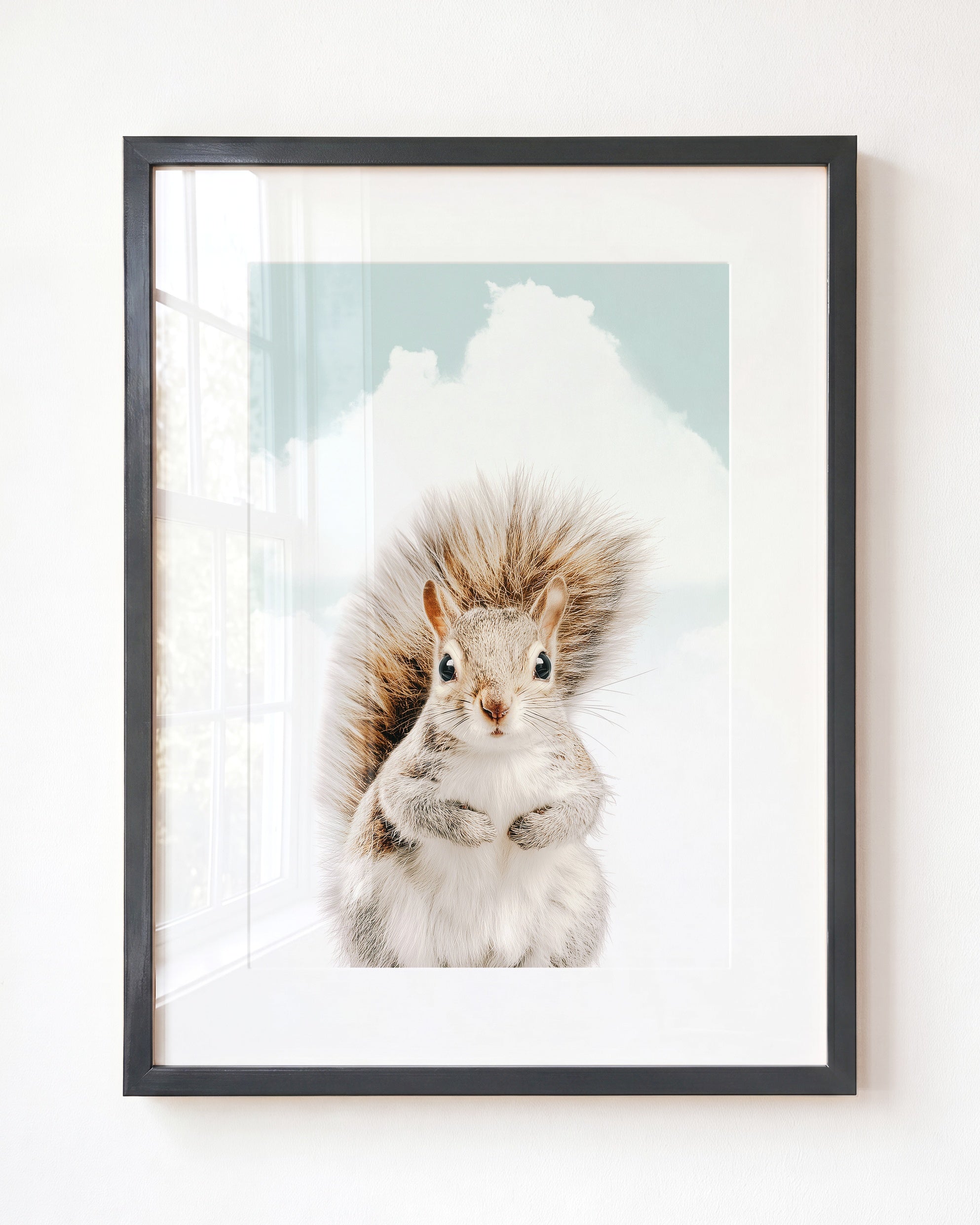 Baby Squirrel