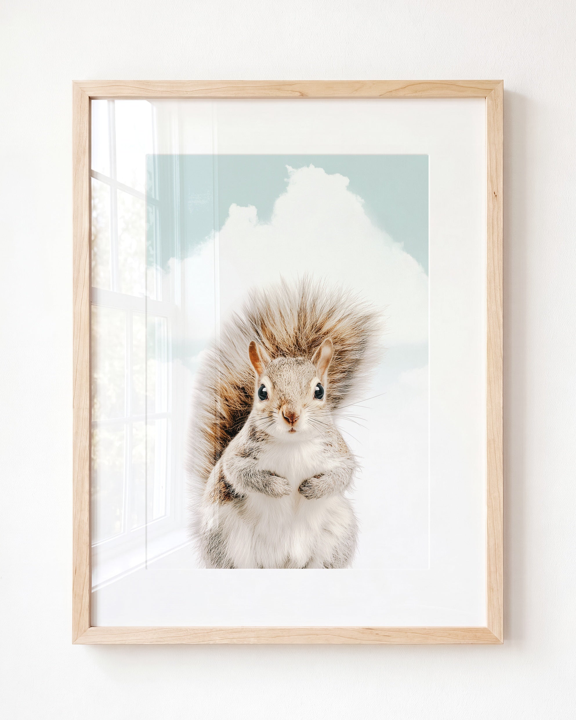 Baby Squirrel