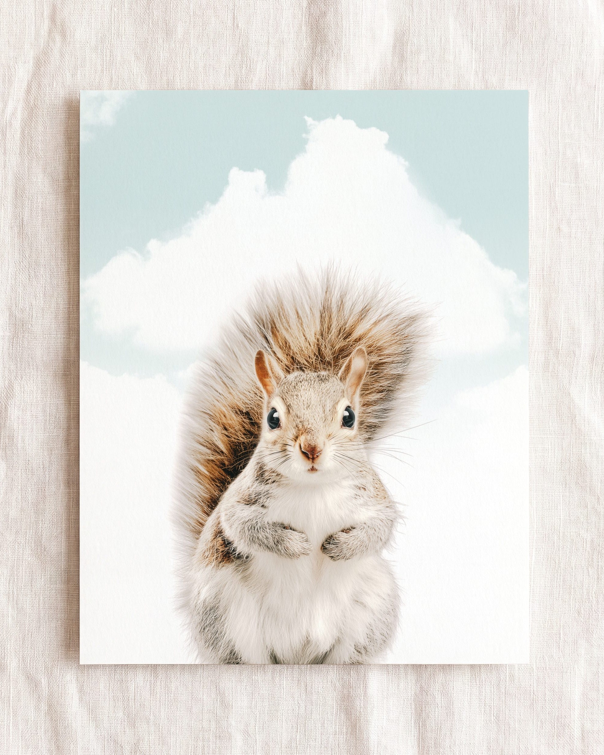 Baby Squirrel