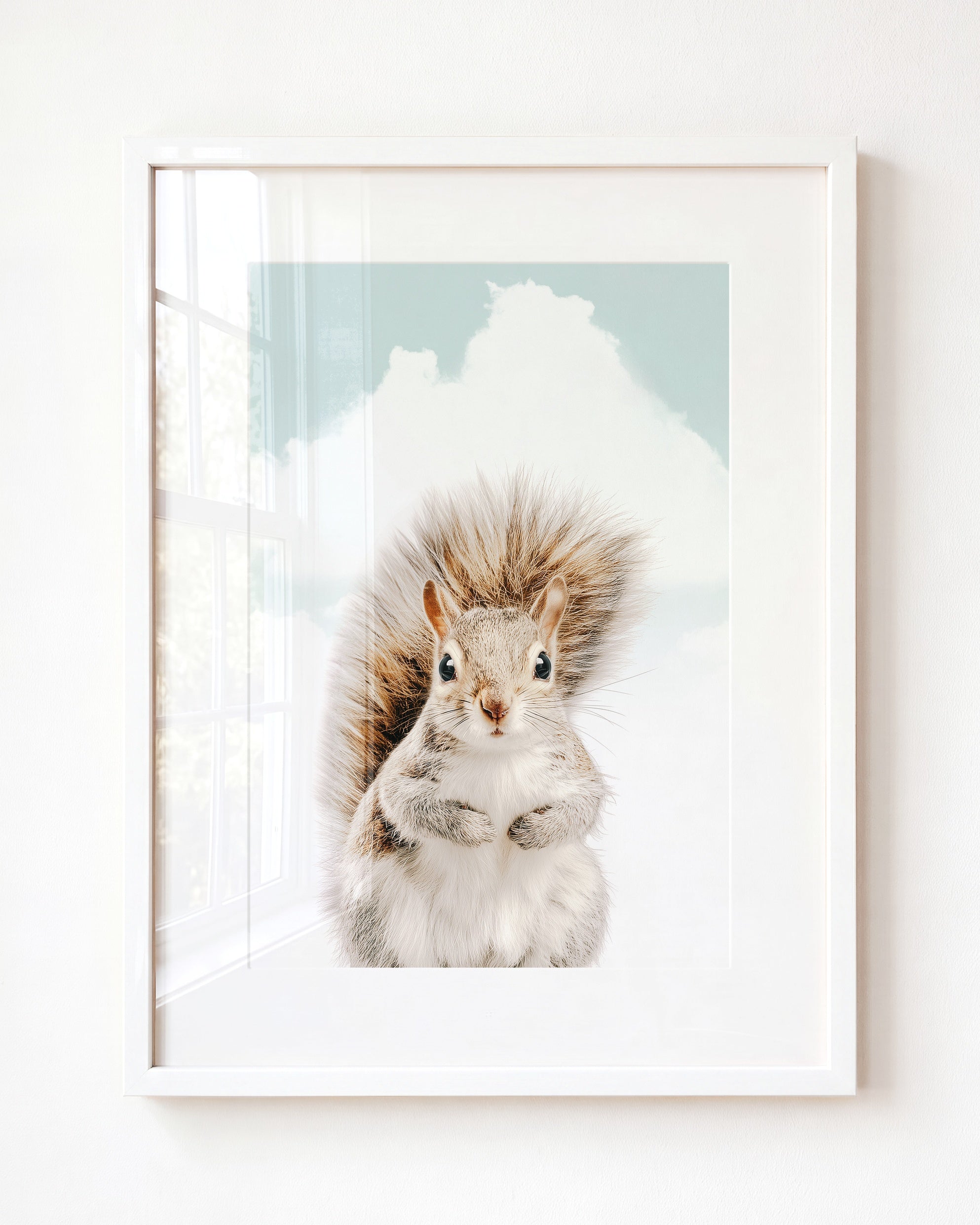 Baby Squirrel
