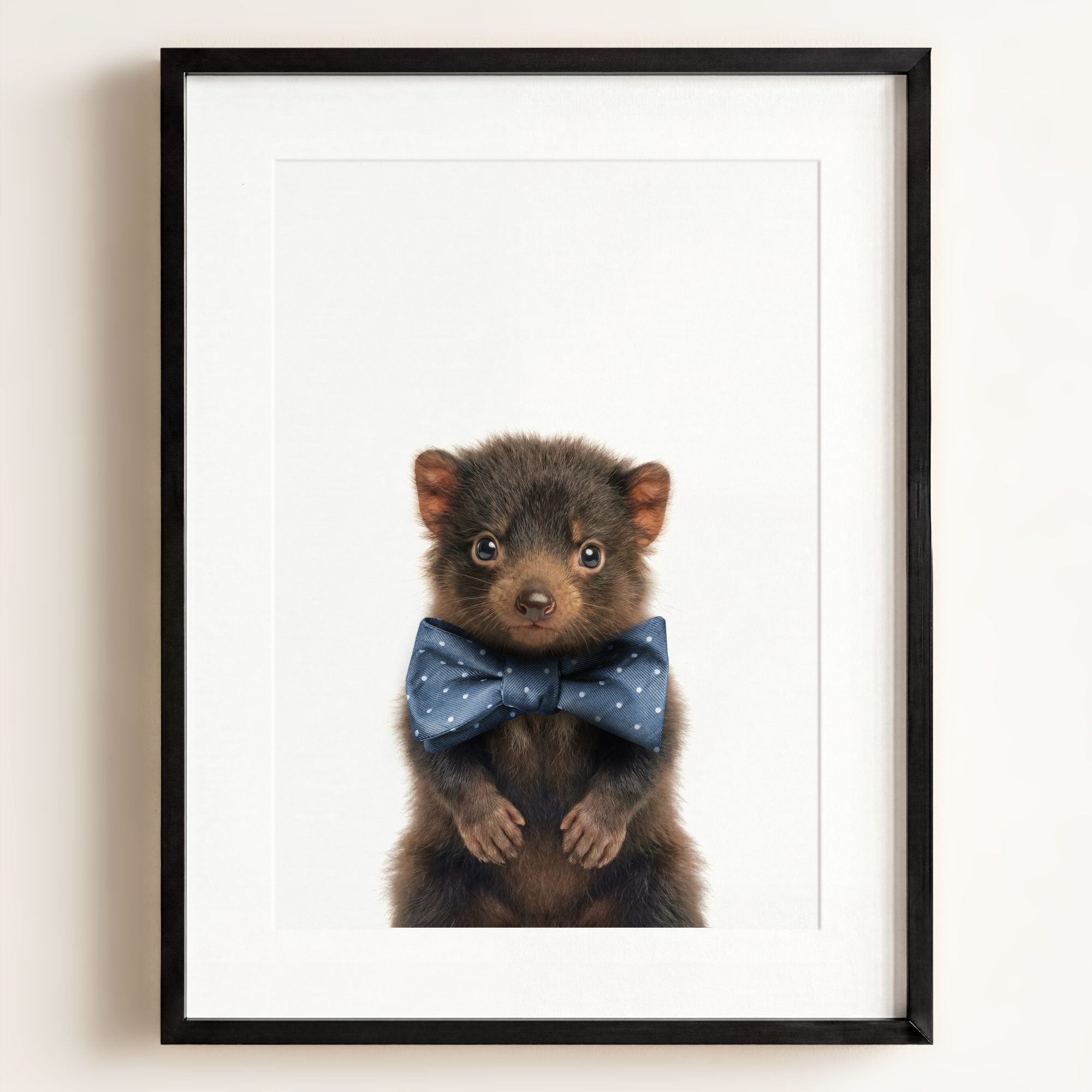 Baby Tasmanian Devil