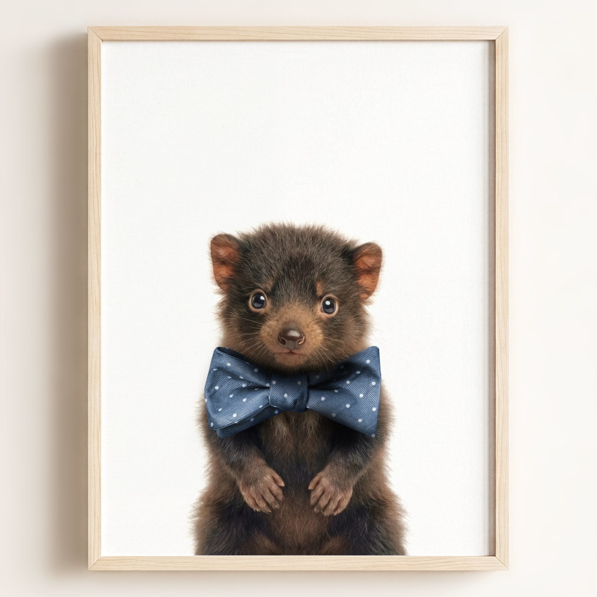 Baby Tasmanian Devil