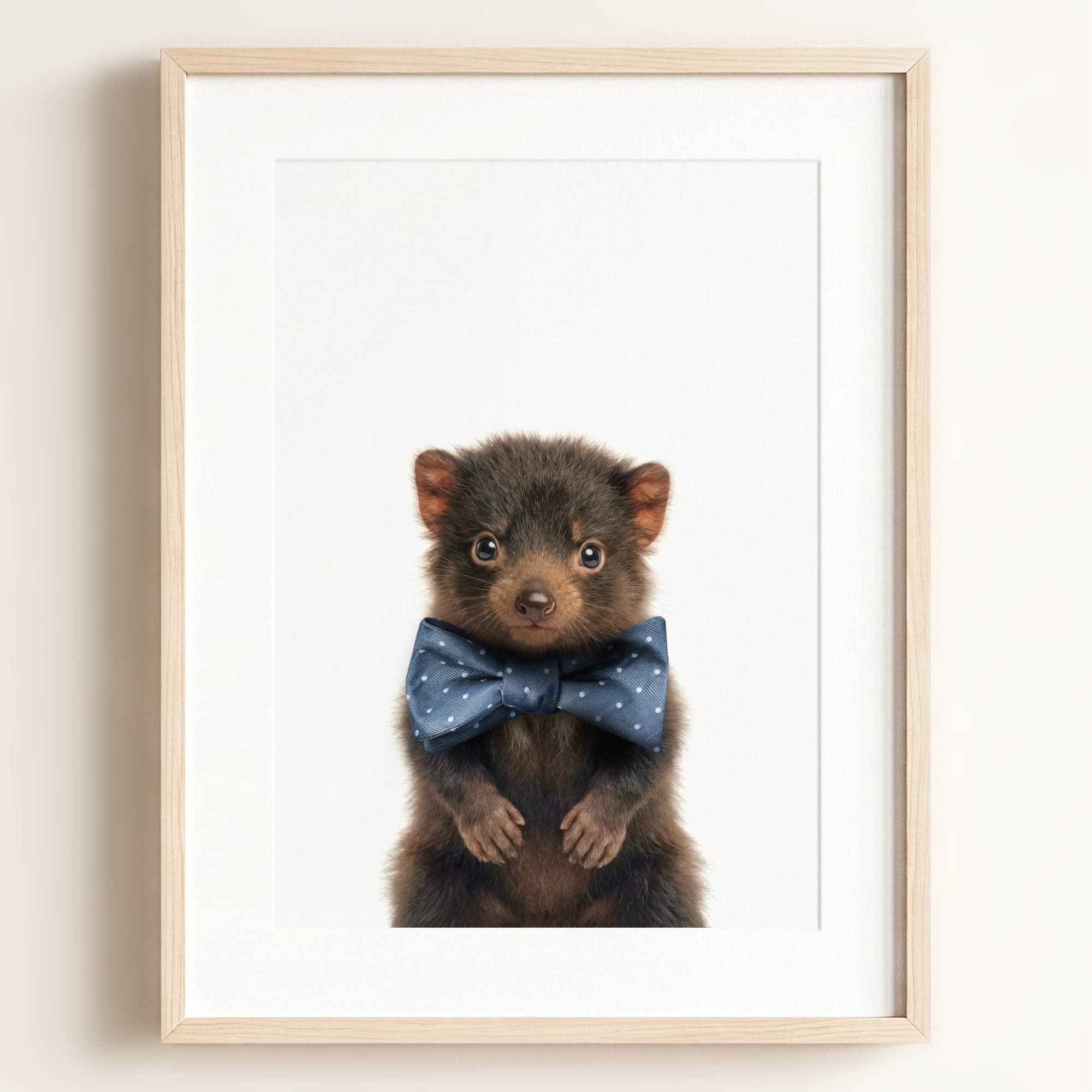 Baby Tasmanian Devil