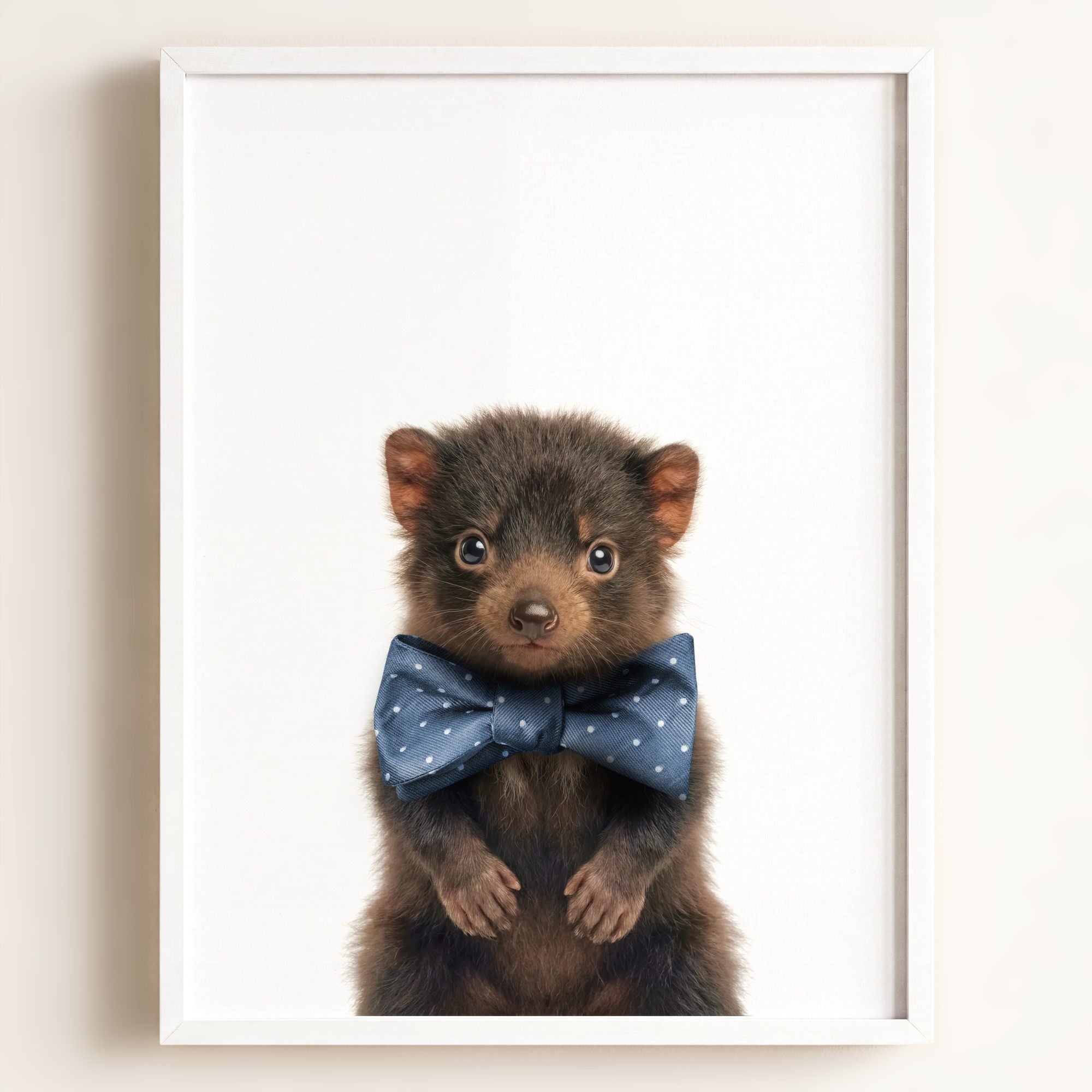 Baby Tasmanian Devil