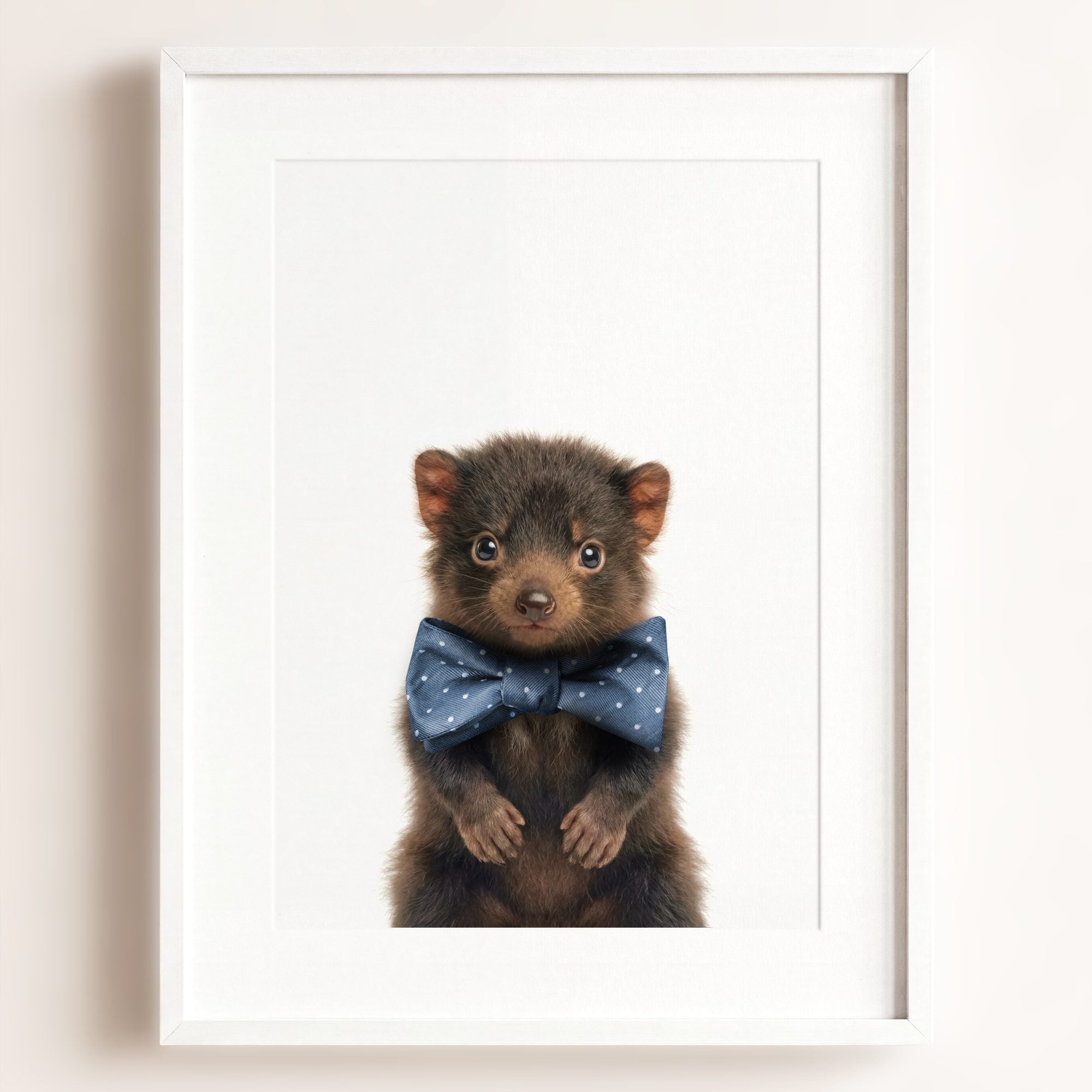 Baby Tasmanian Devil