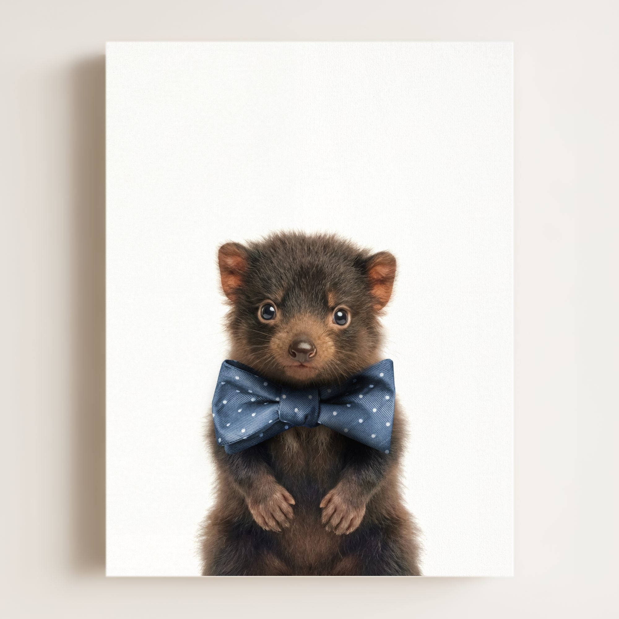 Baby Tasmanian Devil