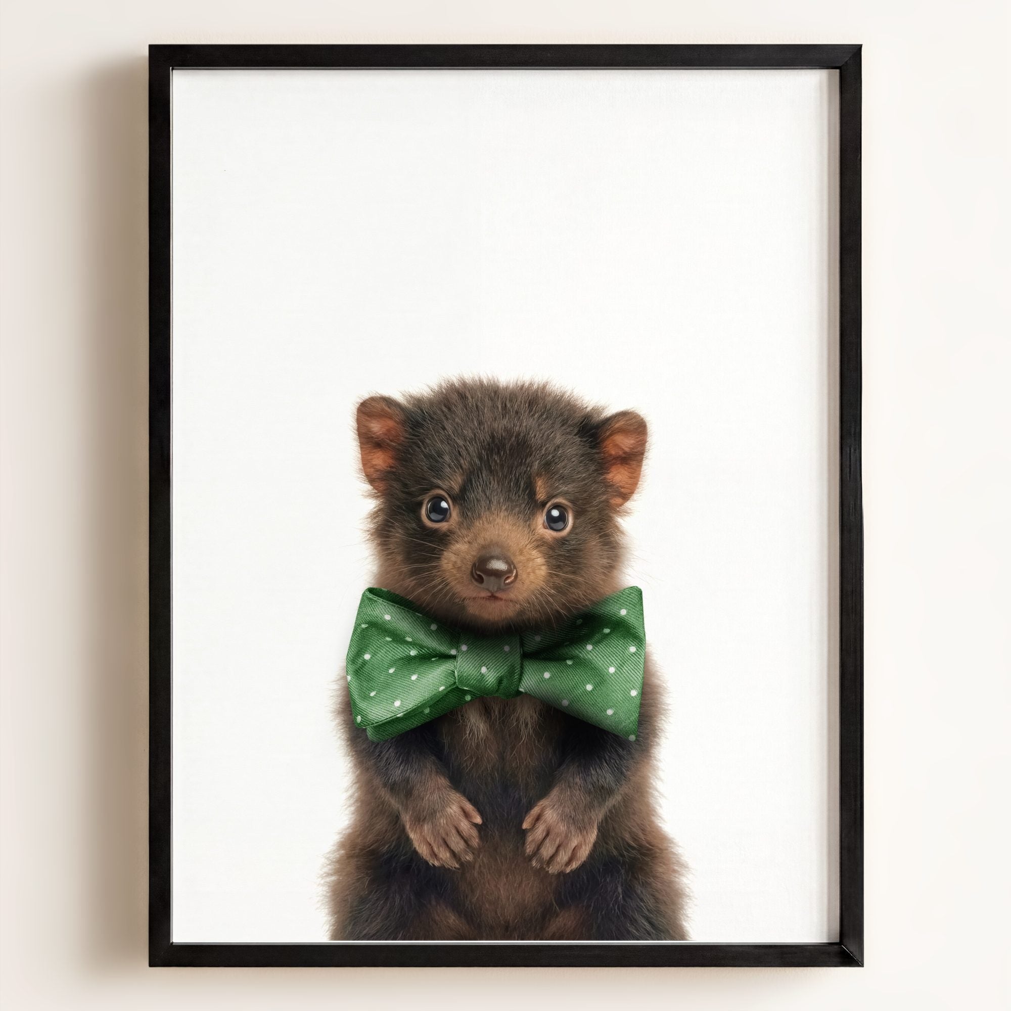 Baby Tasmanian Devil