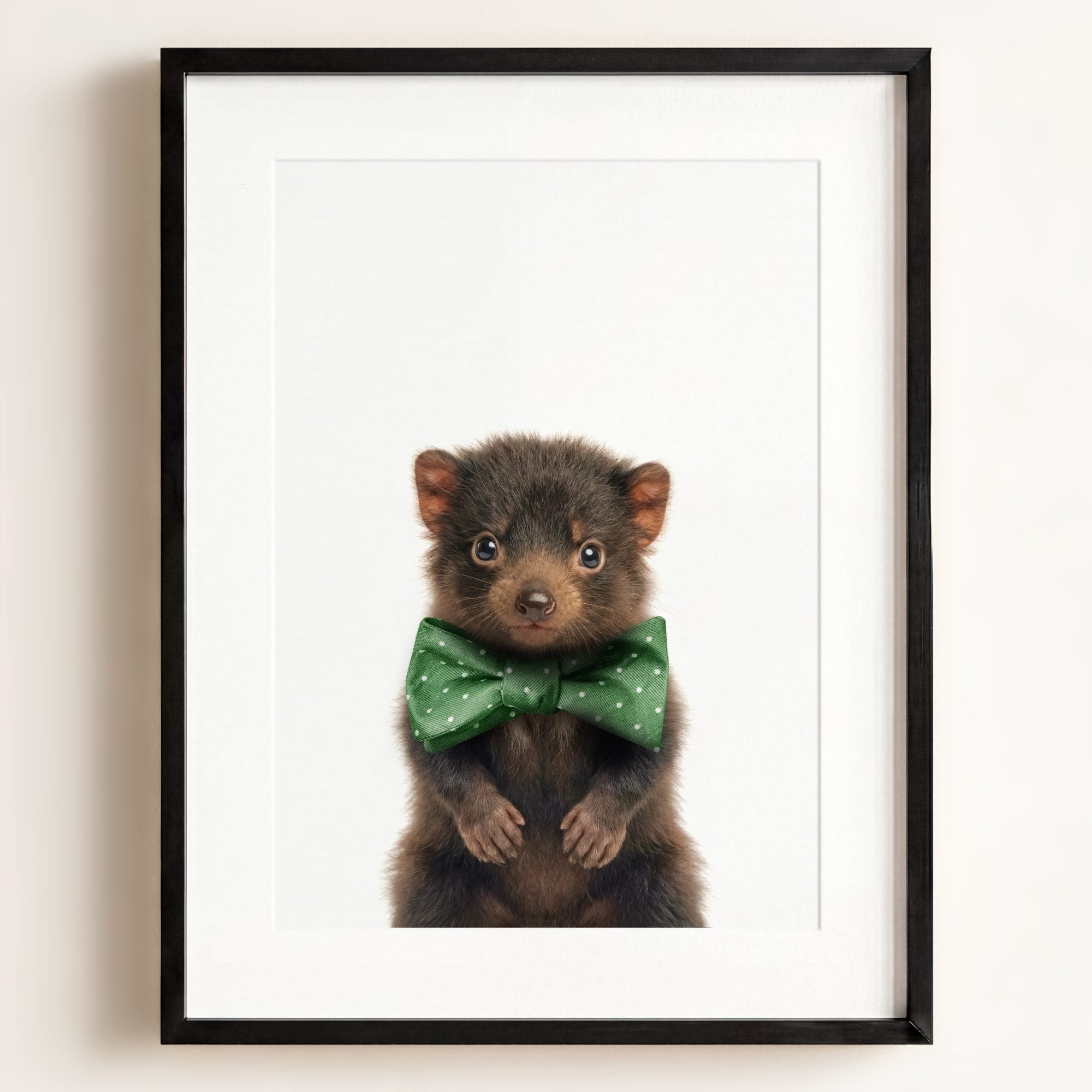 Baby Tasmanian Devil