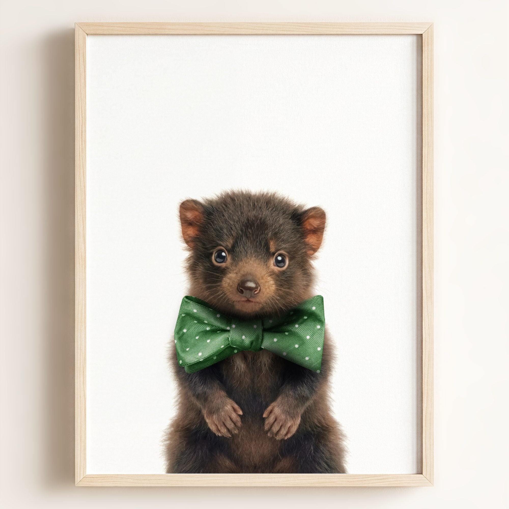 Baby Tasmanian Devil