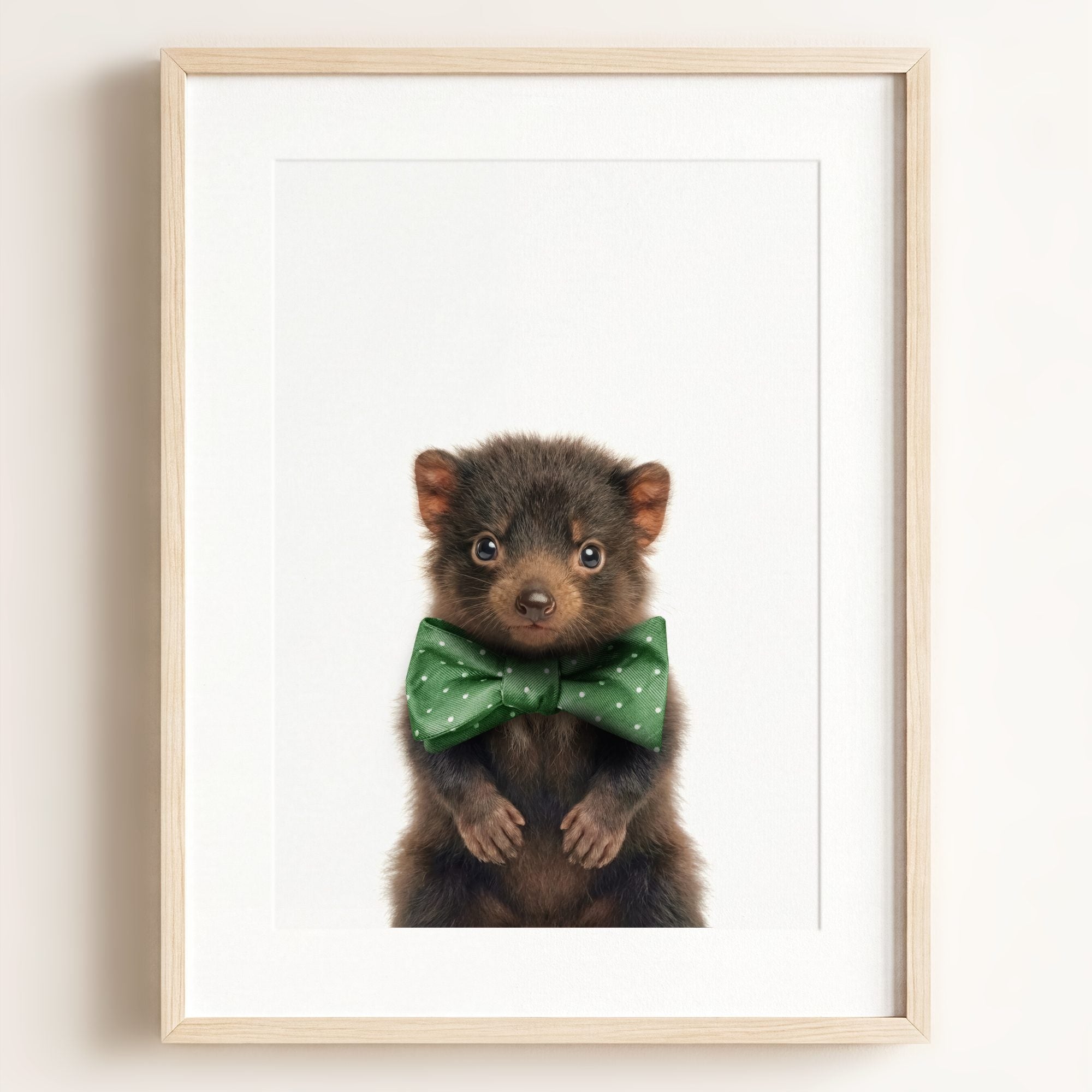 Baby Tasmanian Devil